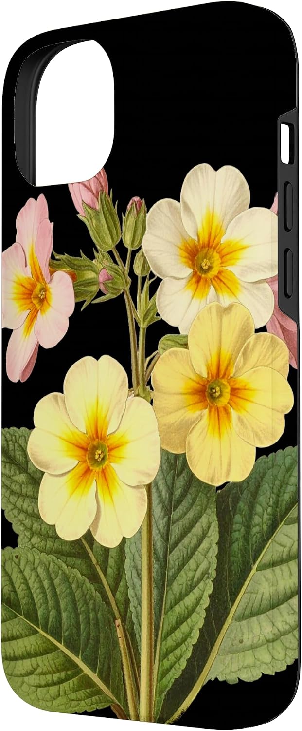 Fleur d'onagre Nom Scientifique Vintage Illustration Fleurs Coque pour iPhone 14 Plus - Image 3