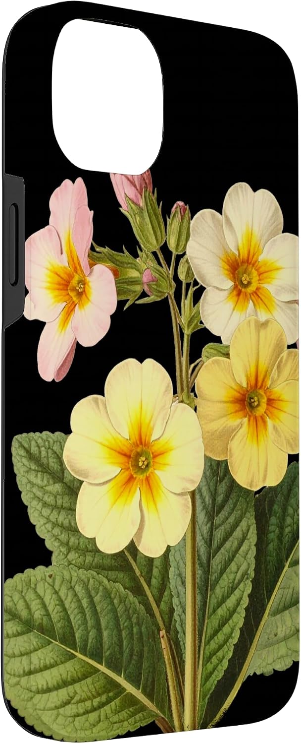 Fleur d'onagre Nom Scientifique Vintage Illustration Fleurs Coque pour iPhone 14 Plus - Image 4