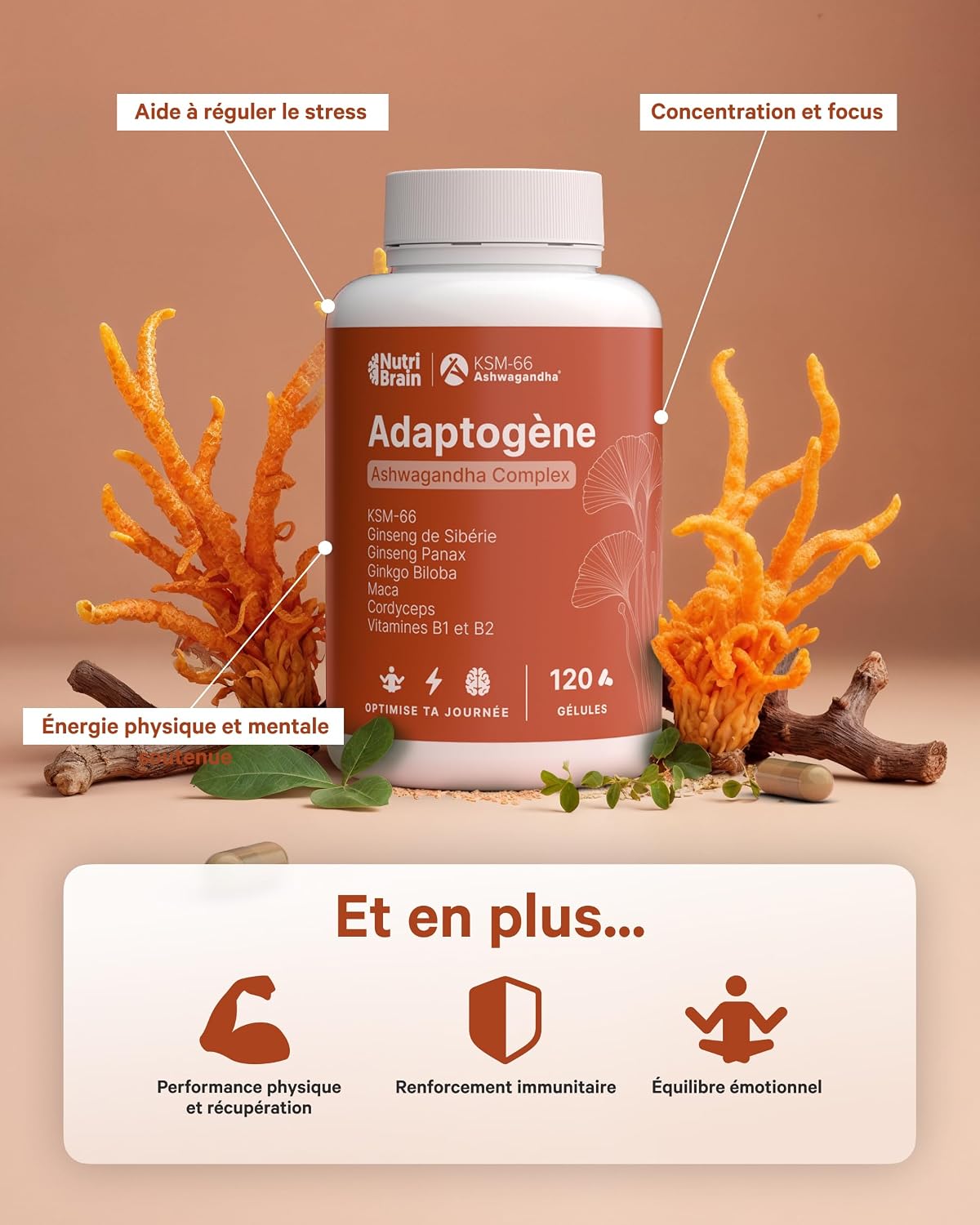 Ashwagandha Complex with KSM-66, Ginseng, Ginkgo Biloba, Maca, Cordyceps, Vitamins B1-B2 | Adaptogen Anti-Stress, Balance, Energy, Performance | 120 Capsules | Vegan, Non-GMO, Gluten Free - Image 6
