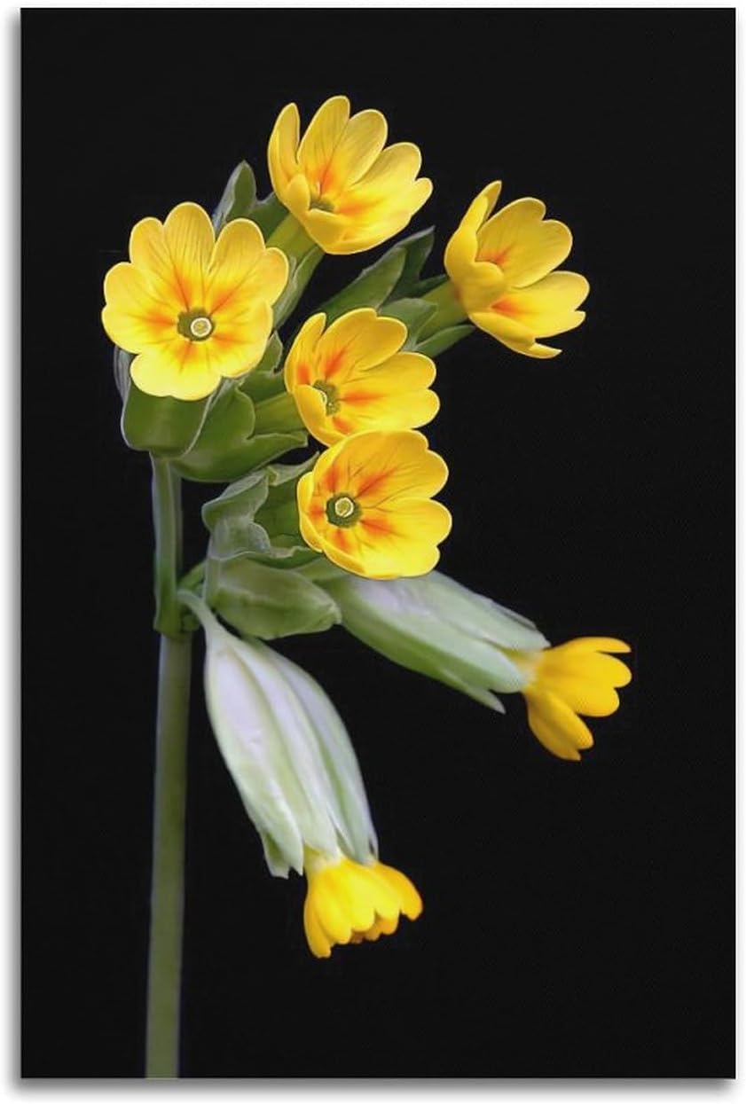 Evening Primrose Yellow Poster Canvas Print Modern Wall Decor for Bedroom 40x60cm - Image 2