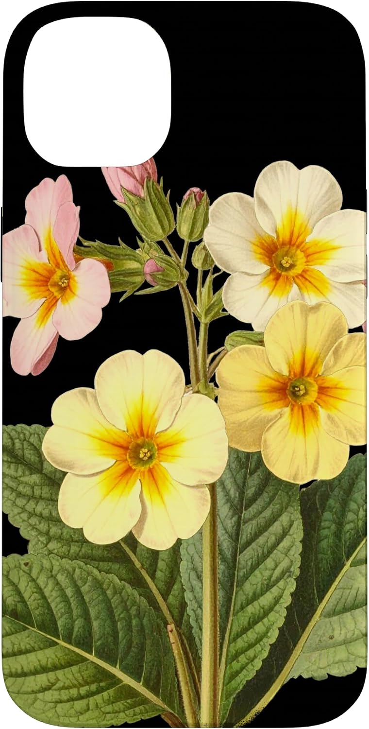 Fleur d'onagre Nom Scientifique Vintage Illustration Fleurs Coque pour iPhone 14 Plus - Image 2