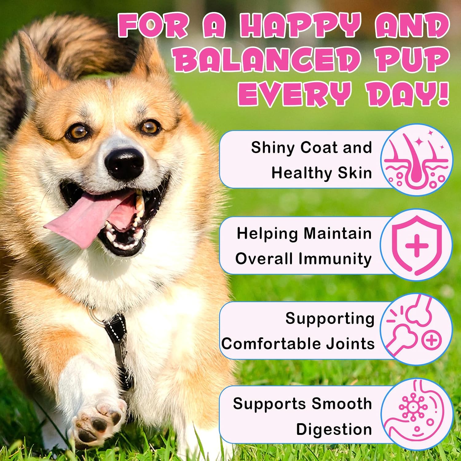 Liquid Collagen for Dogs, Collagen Supplement for Dog Skin & Coat, Itchy & Dry Skin Relief, Joint Supplements for Dogs, Health Support - Image 3
