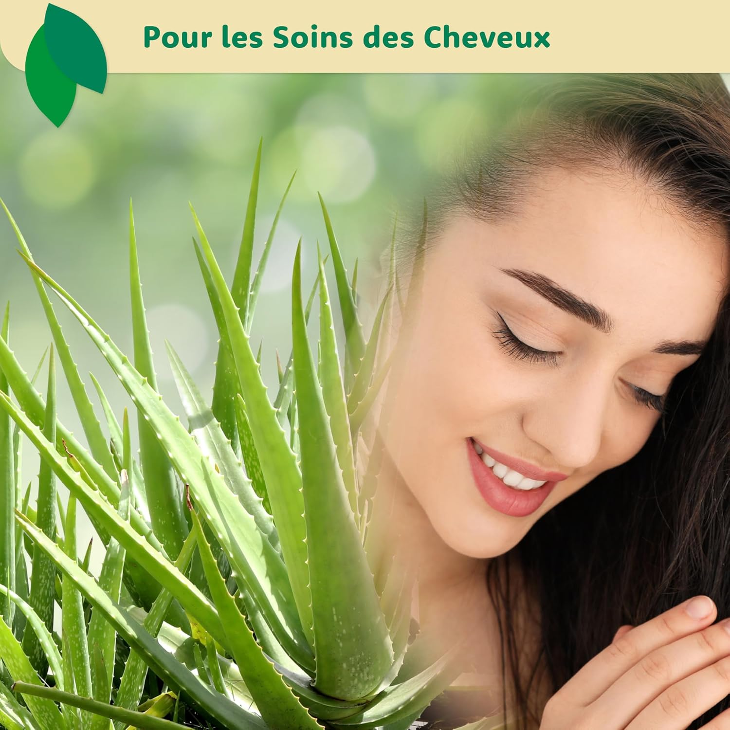 Ecla Skin Care (240 ml) Aloe Vera After Sun Gel, 100% Pure Aloe Vera Gel for Face, Body & Hair, Cold-Pressed Aloe Vera Juice, Organic & Soothing Aloe Vera Gel, Alcohol Free - Image 7