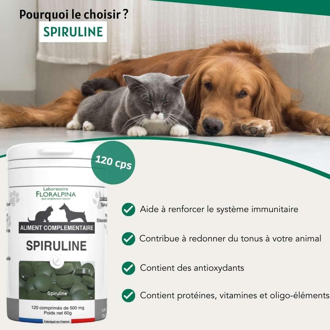 Spirulina 120 Tablets for Dogs and Cats - Natural Nutritional Supplement, Immune Support and Digestive Health, Rich in Proteins and Antioxidants - Image 3