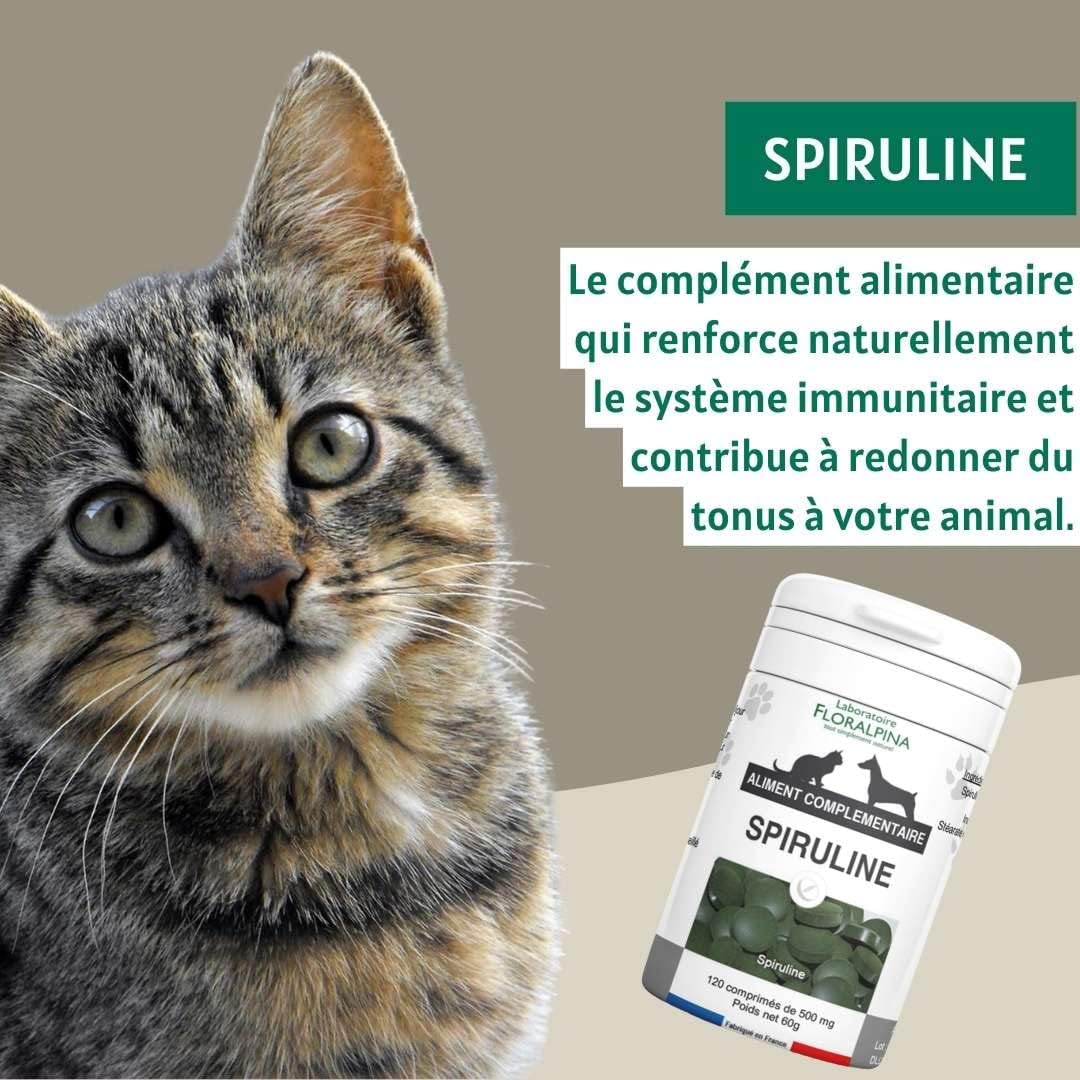 Spirulina 120 Tablets for Dogs and Cats - Natural Nutritional Supplement, Immune Support and Digestive Health, Rich in Proteins and Antioxidants - Image 5