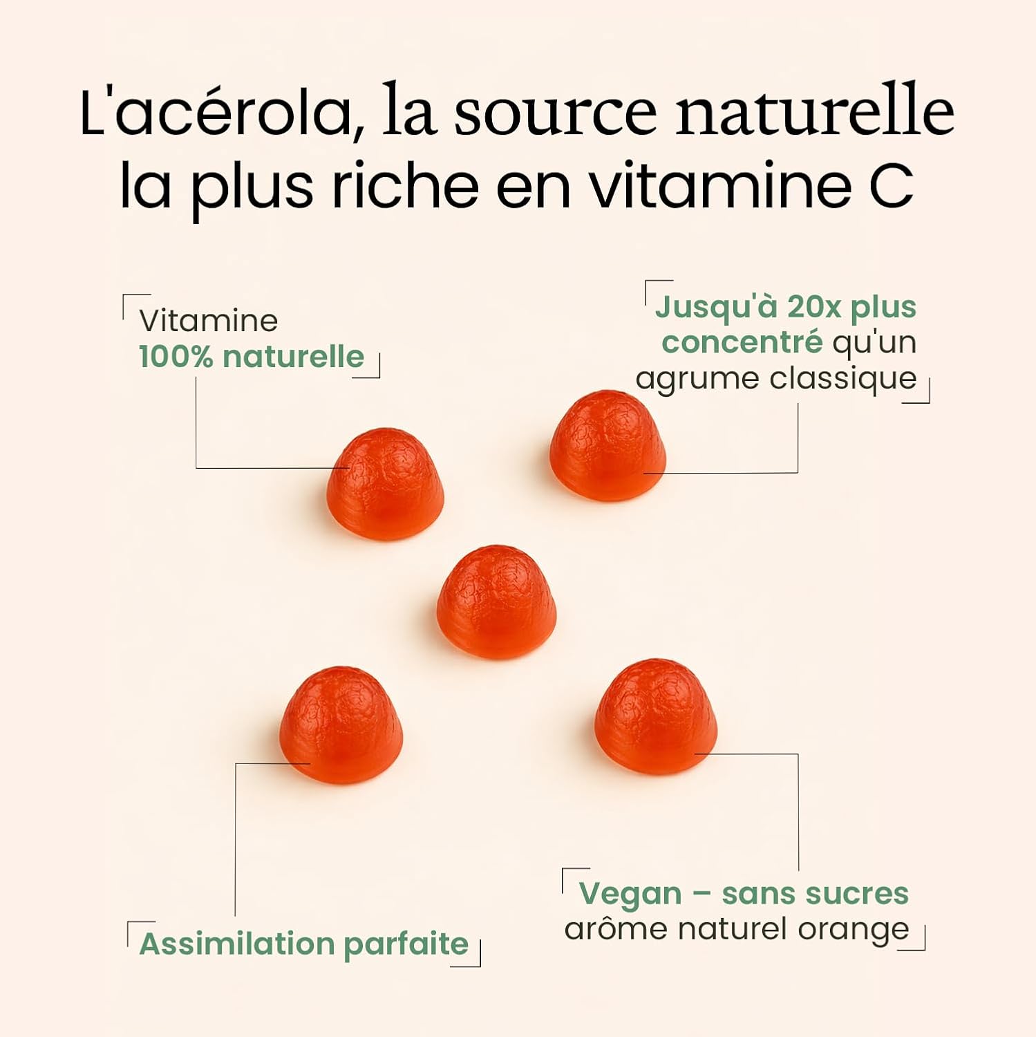 Acerola Vitamin C Gummies | Children & Adults | 1 Gummy = 100% AR | Energy - Tonus - Immunity | 60 Sugar-Free Gummies | Natural Orange Flavour | Vegan and Gelatin Free | Made in France | Terravita - Image 4