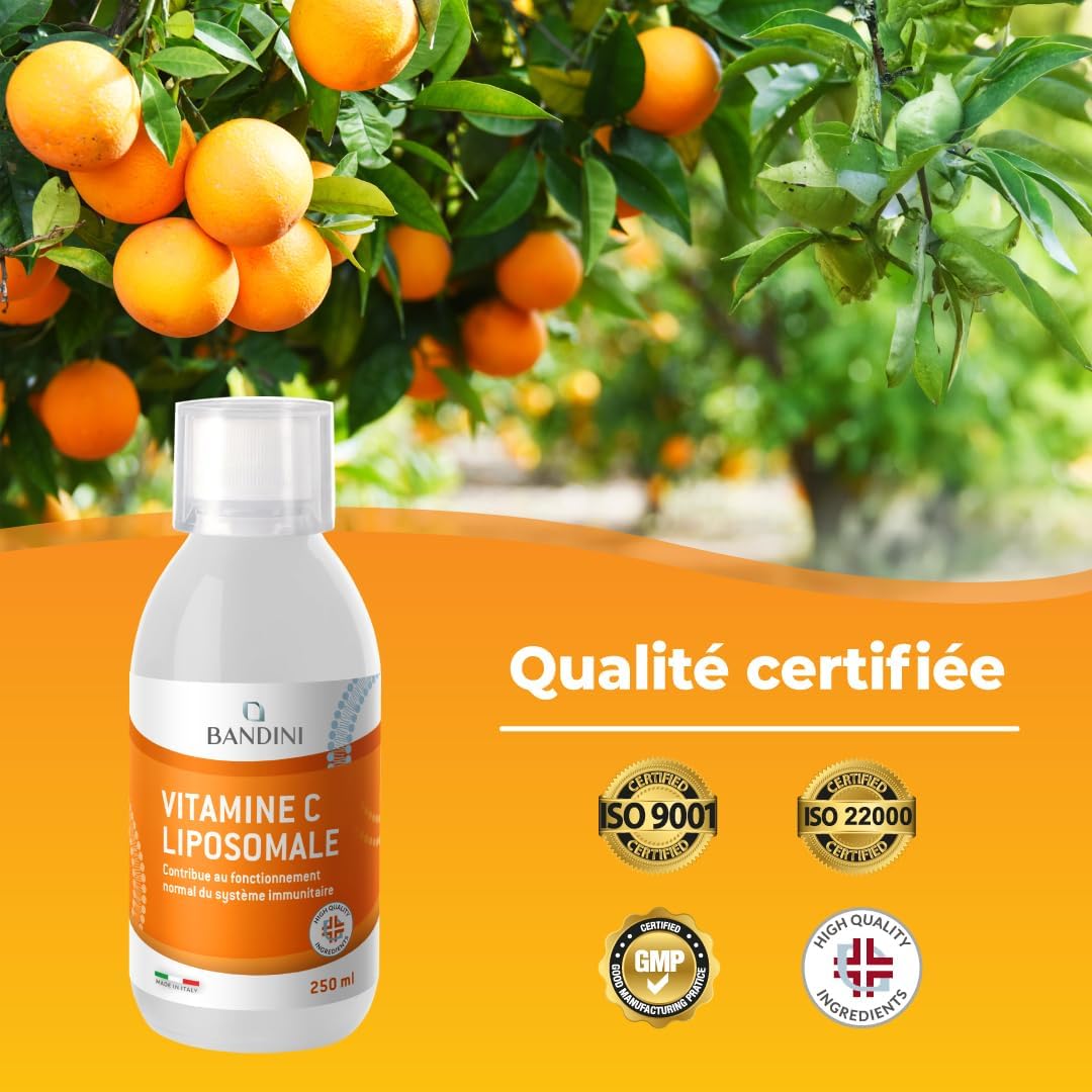 Bandini® Liposomal Vitamin C 1000 mg - Liquid Supplement 250 ml - | Powerful Dosage and Maximum Absorption - Immune System & Fatigue - 100% Vit C Ascorbic Acid Bioavailable - Vegan - Image 7
