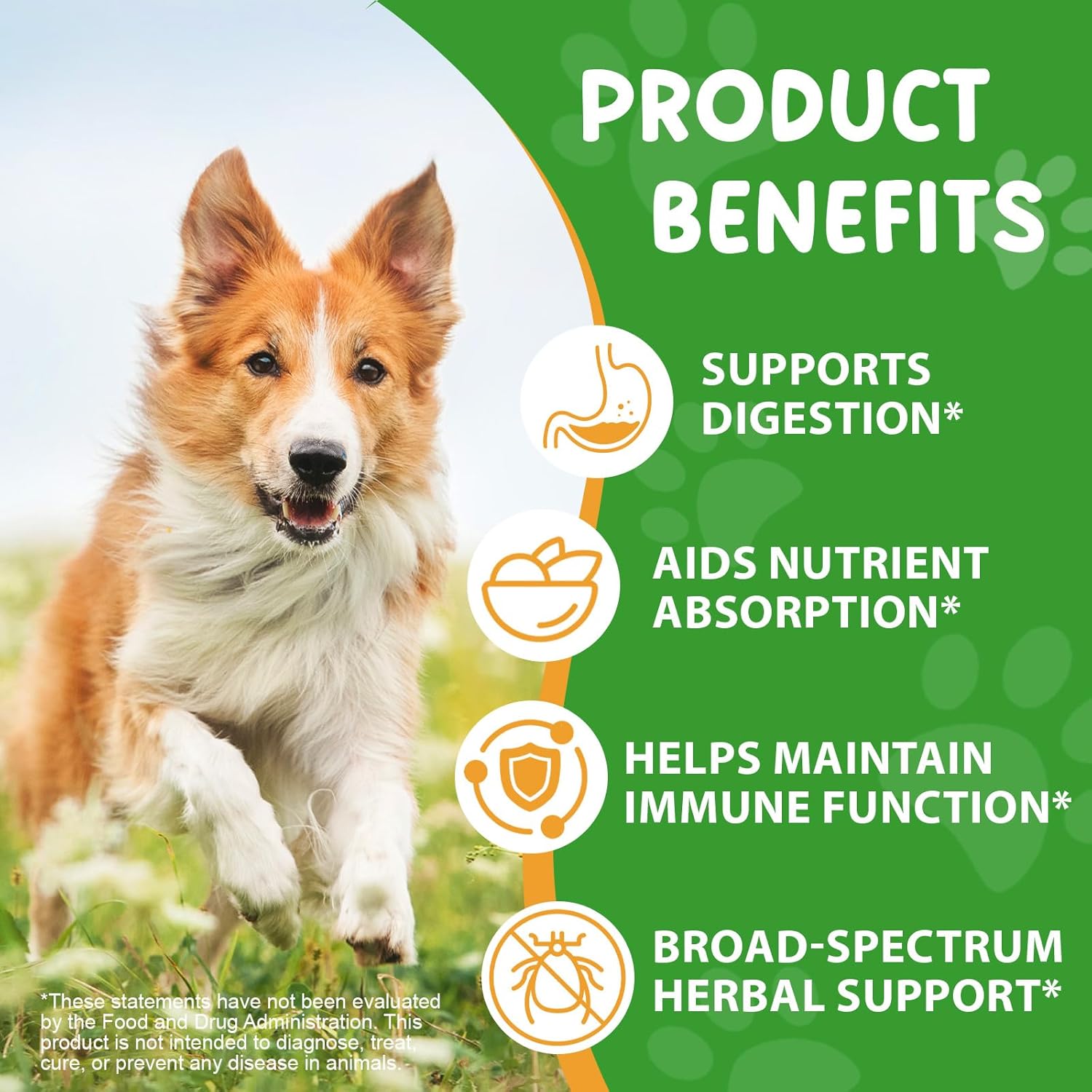 Natural Intestinal Defense for Dogs, Herbal Cleansing with Wormwood, Black Nut & Probiotics - Promotes Gut Health & Flora Balance, 60ml - Image 4