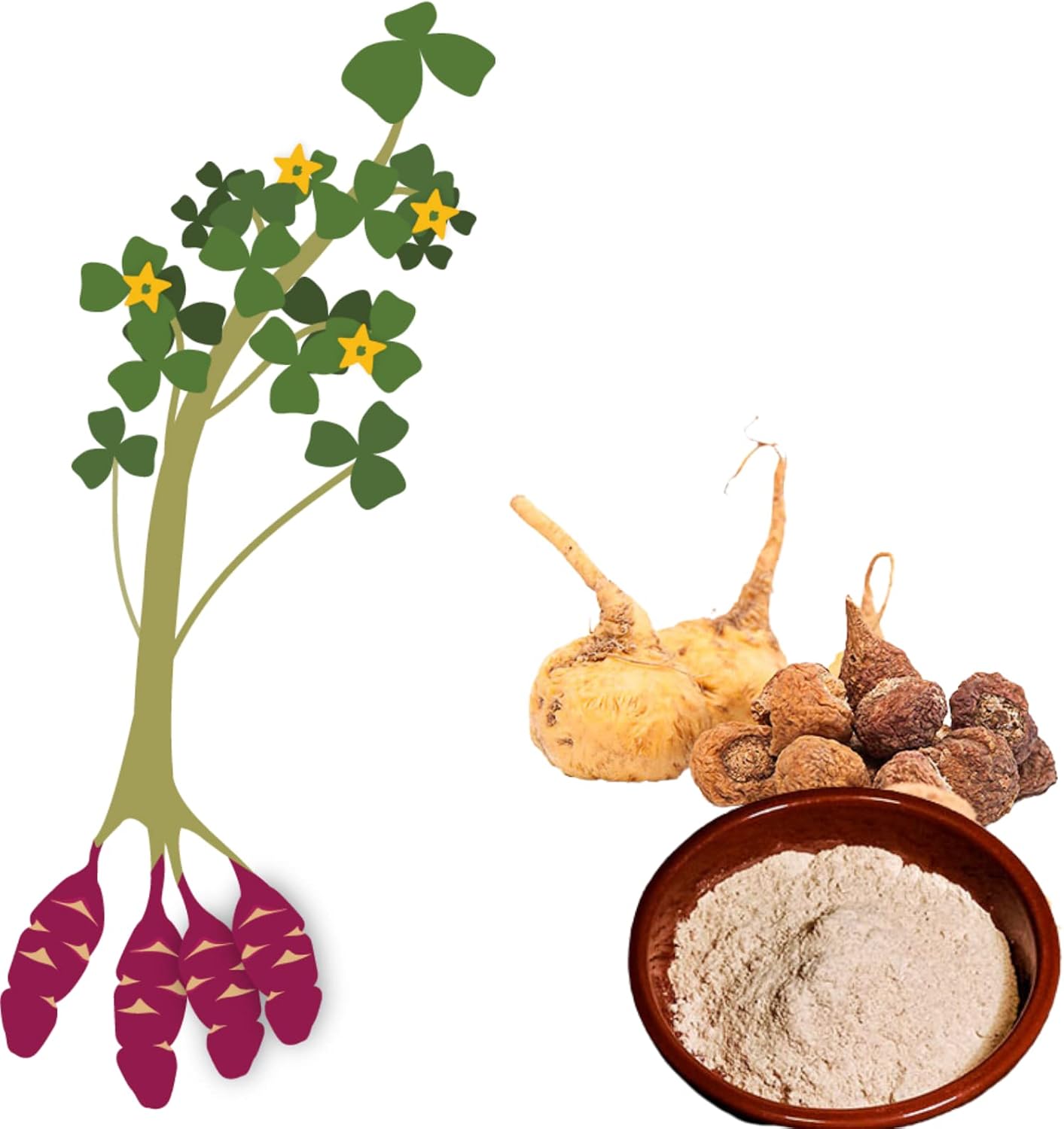 Samskara Organic Raw Pure Andean Peruvian Maca Powder | 100% Dried & Ground Fruit | Outstanding Physical and Mental Performance (1kg) - Image 5