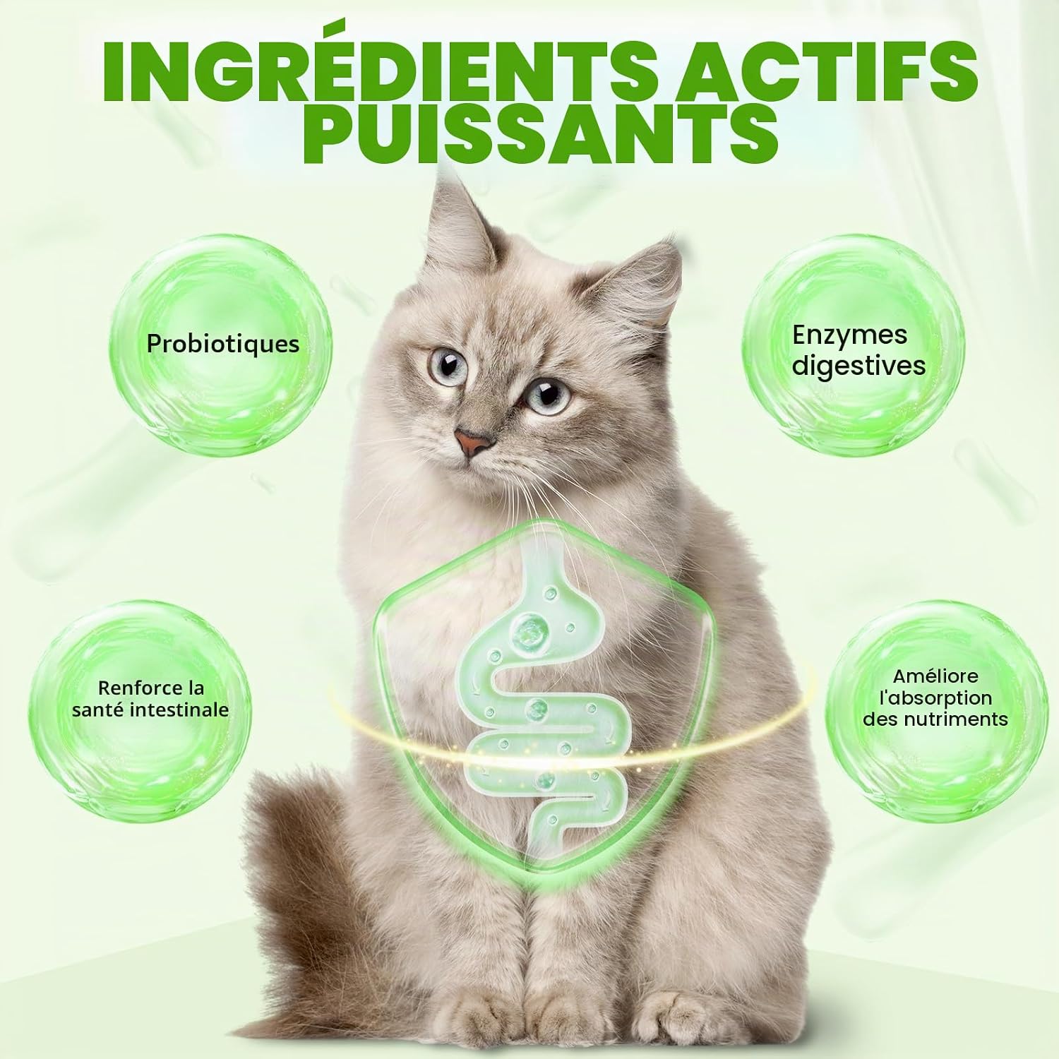 3 in 1 Probiotic Drops for Cats 60ml, Probiotics for Cats with Digestive Enzymes, Gut Health, Suitable for Kittens and Adults - Image 4