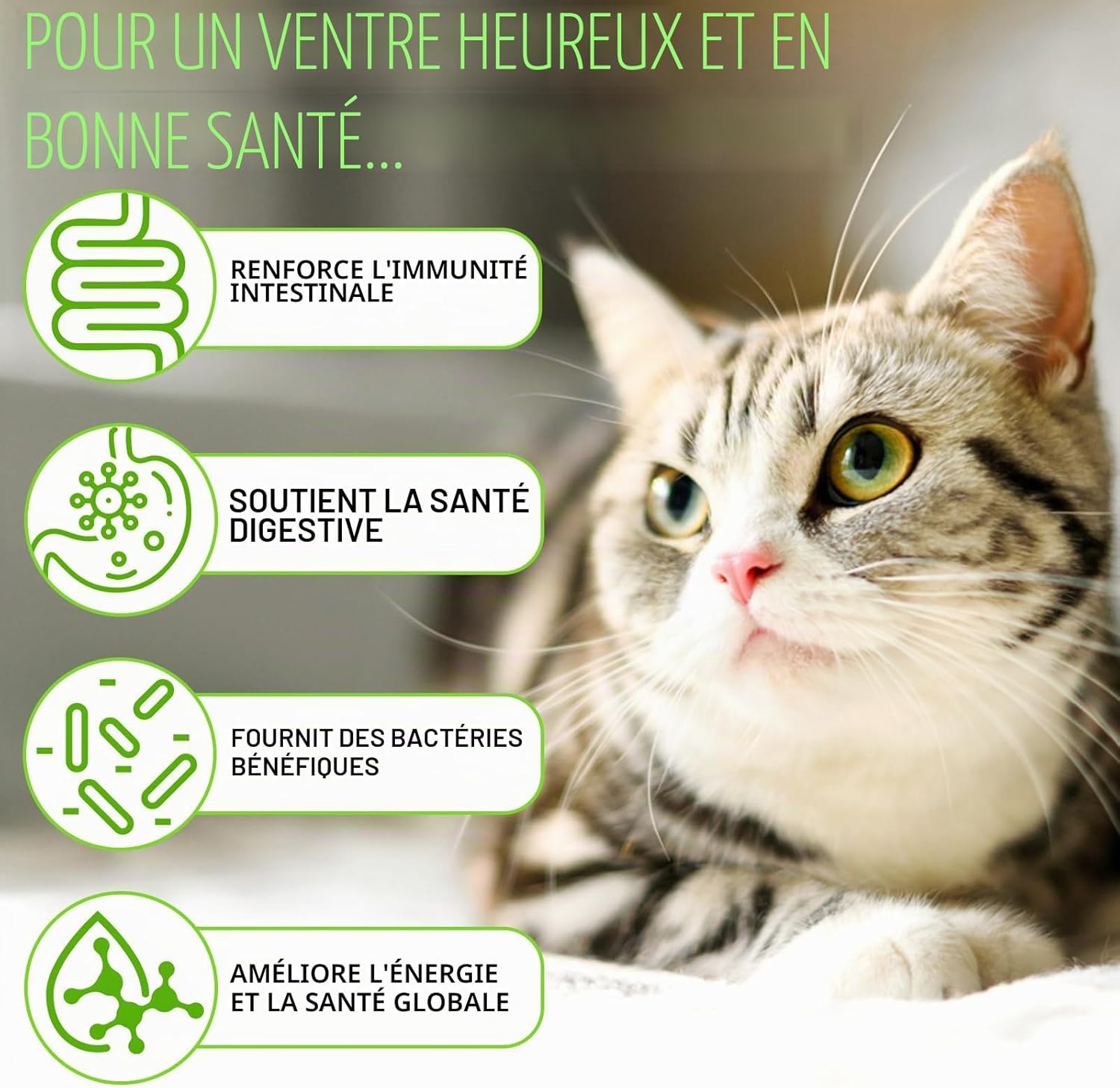 3 in 1 Probiotic Drops for Cats 60ml, Probiotics for Cats with Digestive Enzymes, Gut Health, Suitable for Kittens and Adults - Image 7