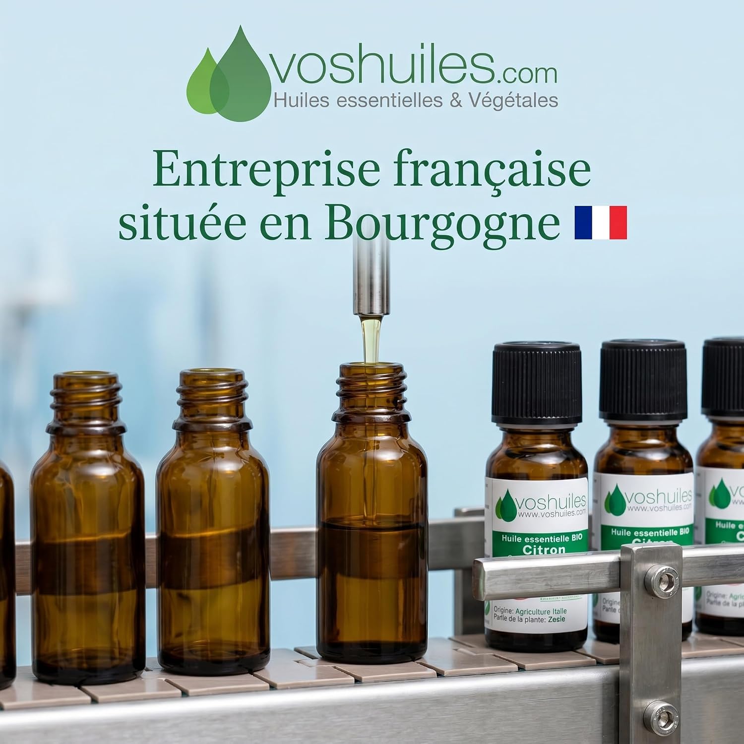 VOSHUILES - Roman Chamomile Essential Oil 5 ml - 100% Pure and Natural - HEBBD - Soothing - Ideal for Relieving Tension - Noble - Quality Essential Oil - Image 6