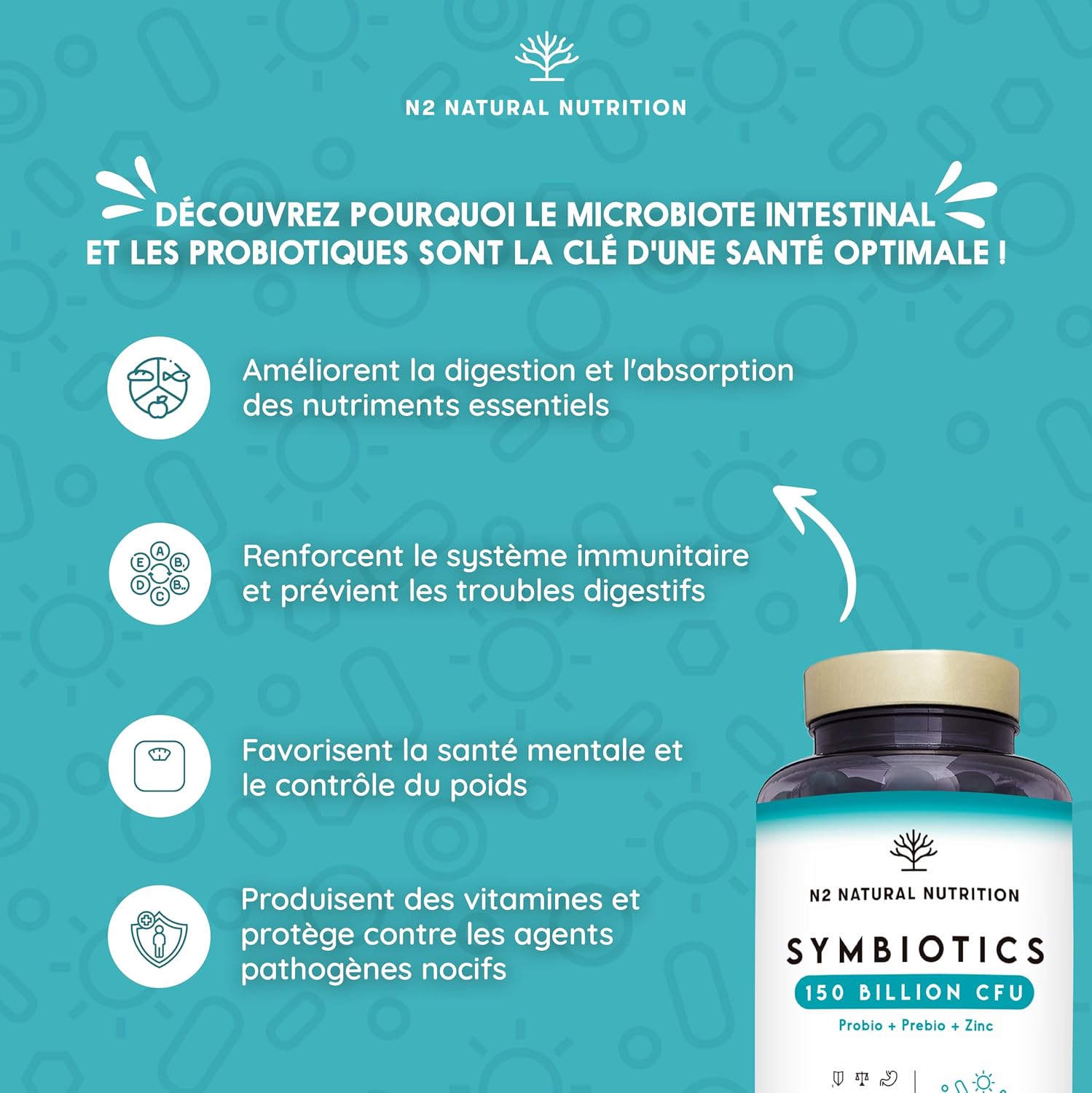 Probiotics 150 Billion CFU+Ashwagandha KSM-66 & Magnesium Digestive Health, Mental Balance and Vitality. Vegan Formulas N2 Natural Nutrition - Image 5