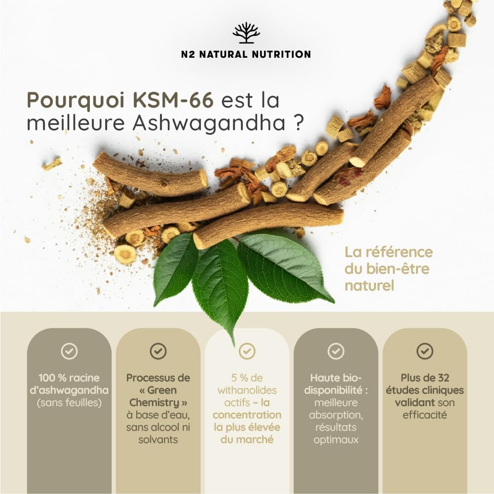 Probiotics 150 Billion CFU+Ashwagandha KSM-66 & Magnesium Digestive Health, Mental Balance and Vitality. Vegan Formulas N2 Natural Nutrition - Image 6