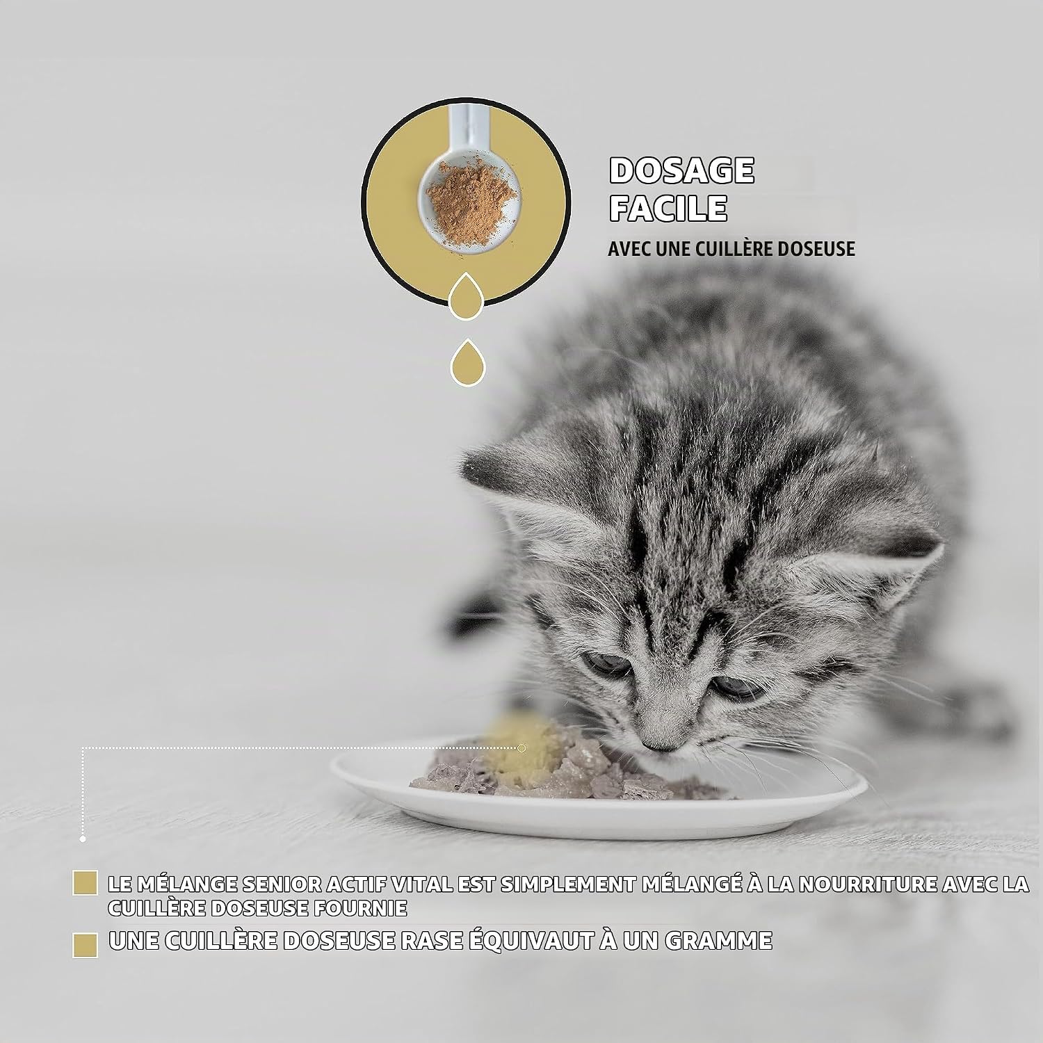 Peticare Senior Active Vital Mix Powder for Aged Cats | Natural Food Supplement with Green Mussel, MSM, Turmeric | Immune Boosts & Deficiencies | petCat Health 3603 (100 g) - Image 6