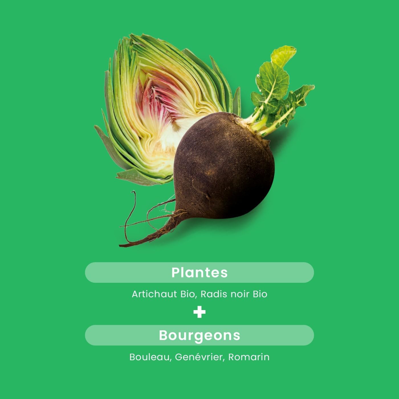 Santarome Bio - Organic Black Radish Artichoke - Organic Food Supplement Liver and Digestion - Digestive Comfort & Liver Protection - 20 Ampoules - Vegan - Made In France - Image 6