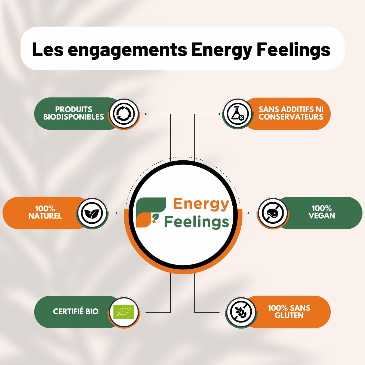 Energy Feelings Organic Agave Inulin 500g, Natural Prebiotic, Gluten Free and Lactose Free Powder Inulin, Dietary Fiber, Organic Inulin, Improves Digestion - Image 5