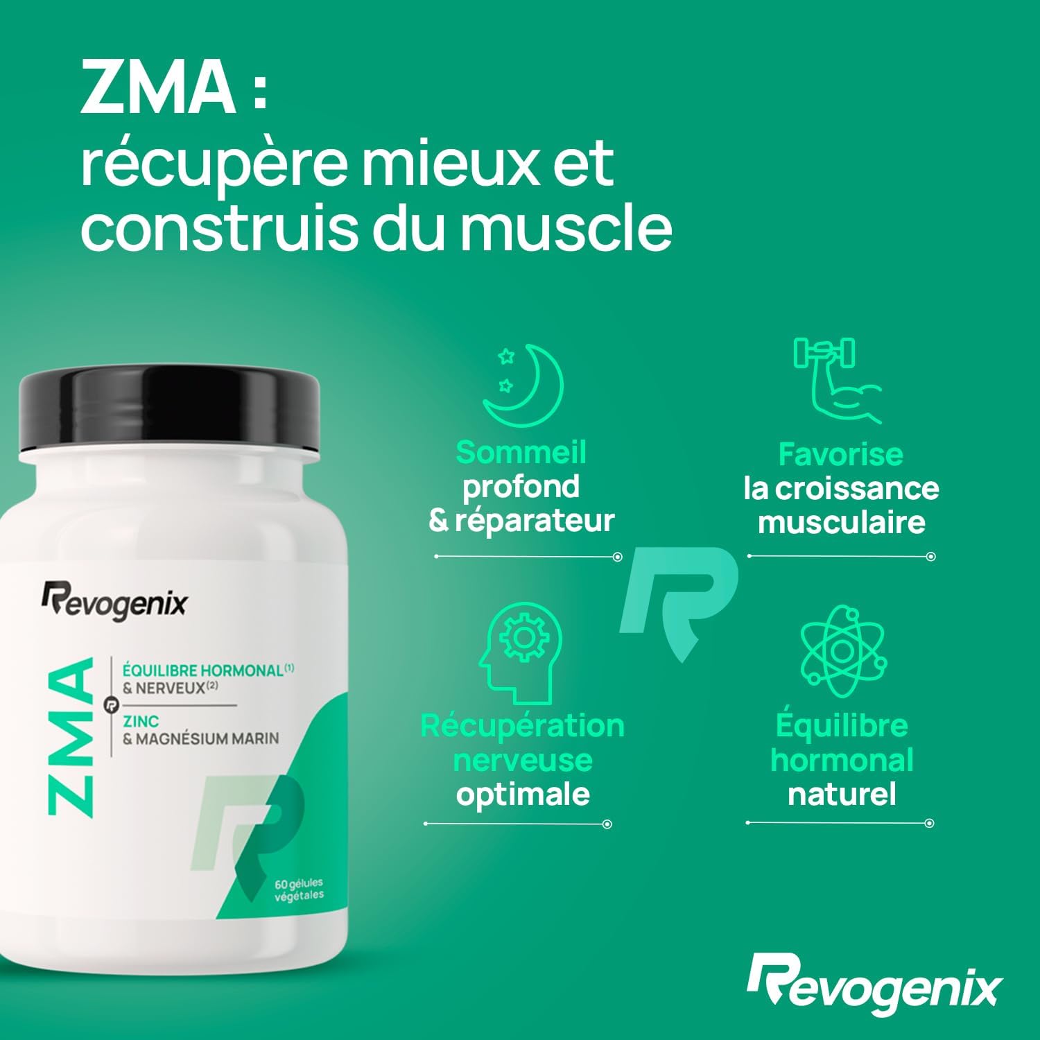 ZMA Highly Dosed | Zinc, Magnesium & Vitamin B6 | Facilitates Mass Gain and Muscle Recovery | Support Testosterone Production | 60 Vegan Capsules Without Additives and GMOs | Revogenix - Image 3