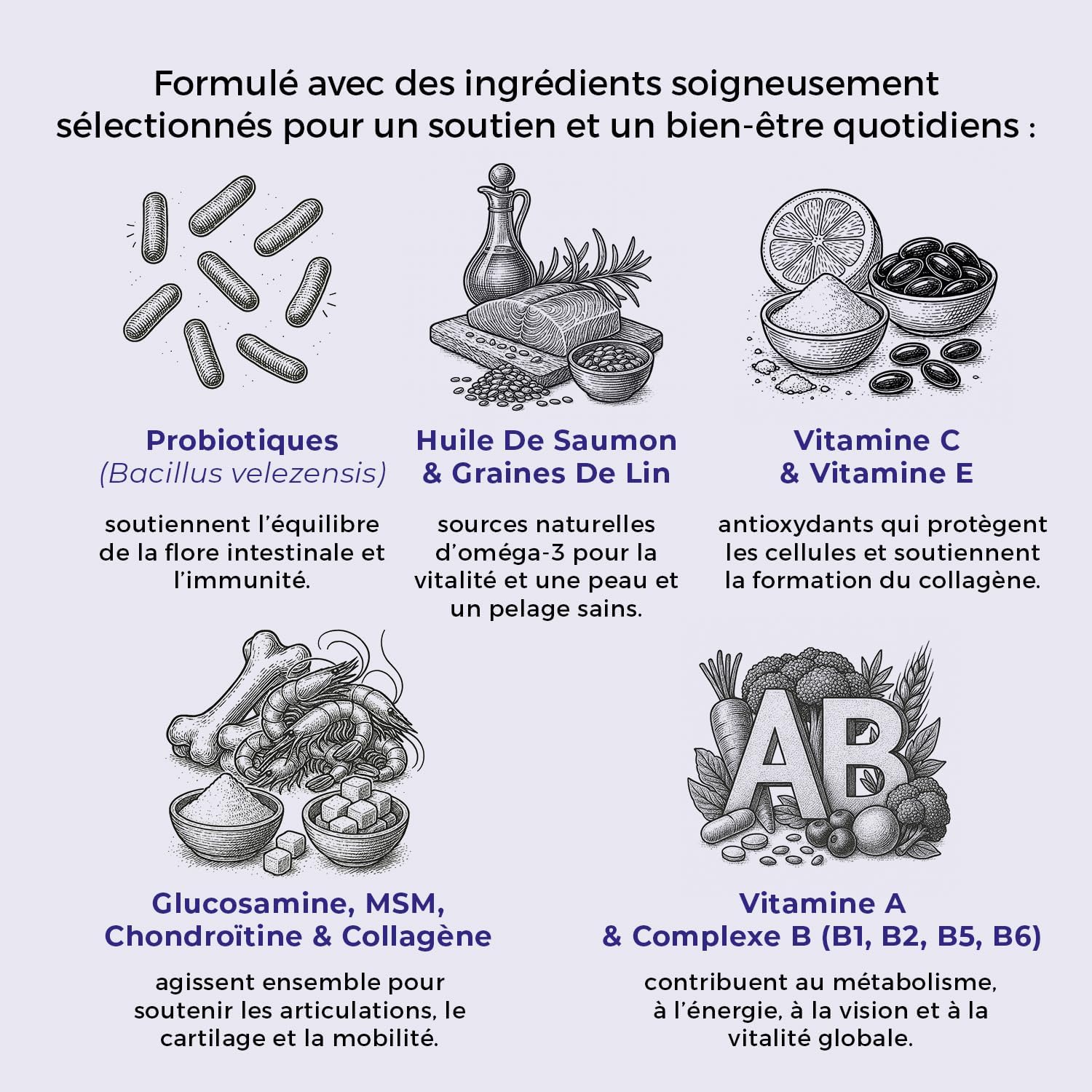 SwissVet 8 in 1 Multivitamin Dog - 120 Joint Treats - Glucosamine, Chondroitin, MSM, Collagen - Digestion (Probiotics) & Salmon Oil Omega 3 - Anti Itching & Shiny Hair - Image 4