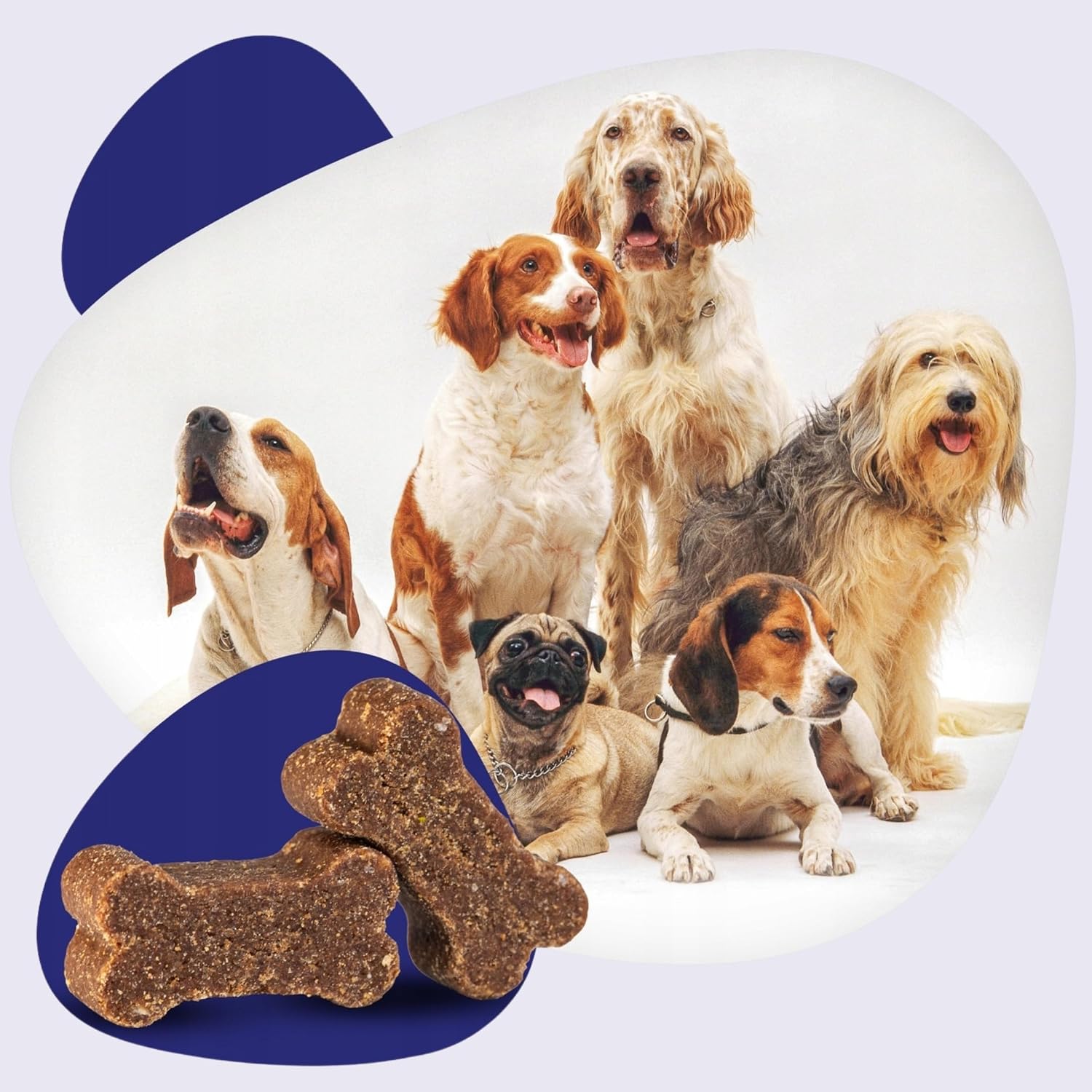 SwissVet 8 in 1 Multivitamin Dog - 120 Joint Treats - Glucosamine, Chondroitin, MSM, Collagen - Digestion (Probiotics) & Salmon Oil Omega 3 - Anti Itching & Shiny Hair - Image 8