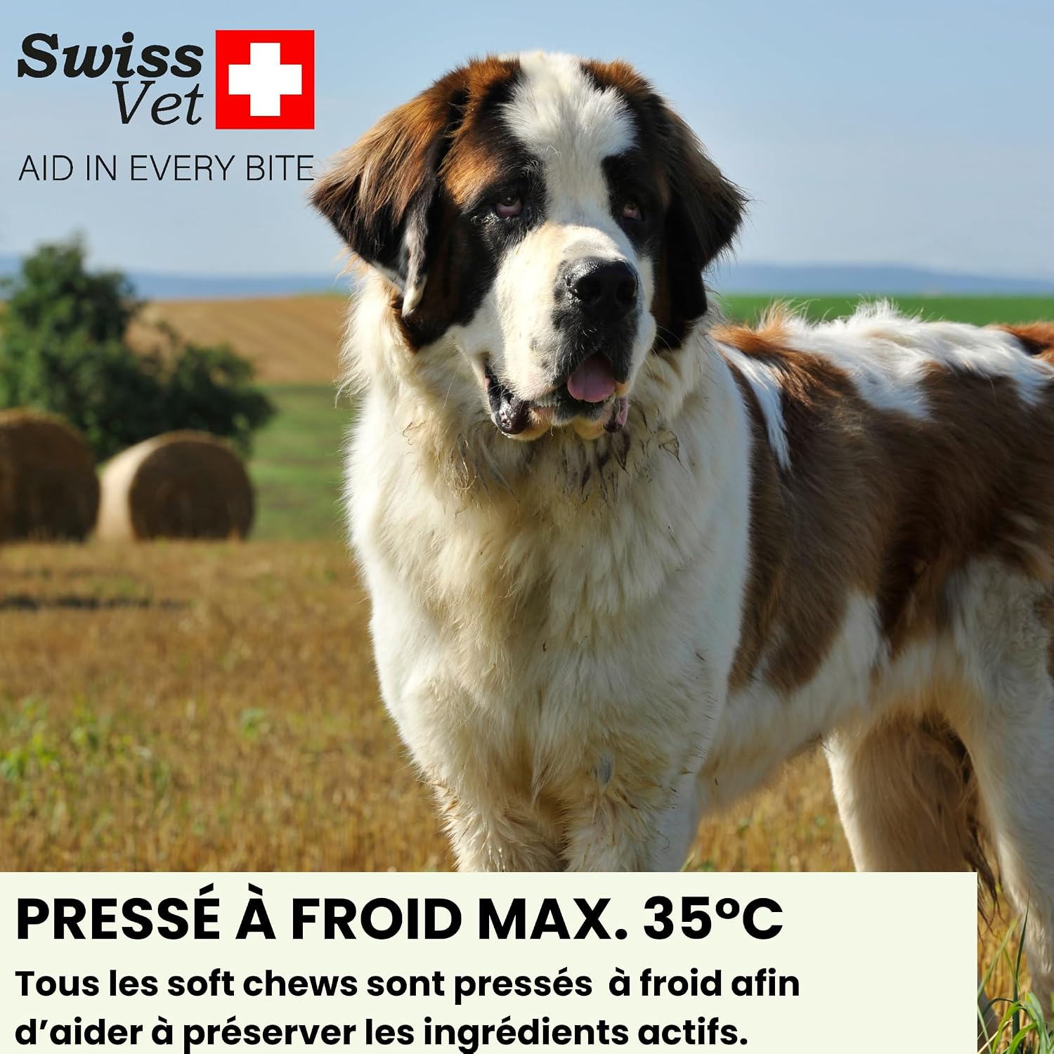 SwissVet 8 in 1 Multivitamin Dog - 120 Joint Treats - Glucosamine, Chondroitin, MSM, Collagen - Digestion (Probiotics) & Salmon Oil Omega 3 - Anti Itching & Shiny Hair - Image 9