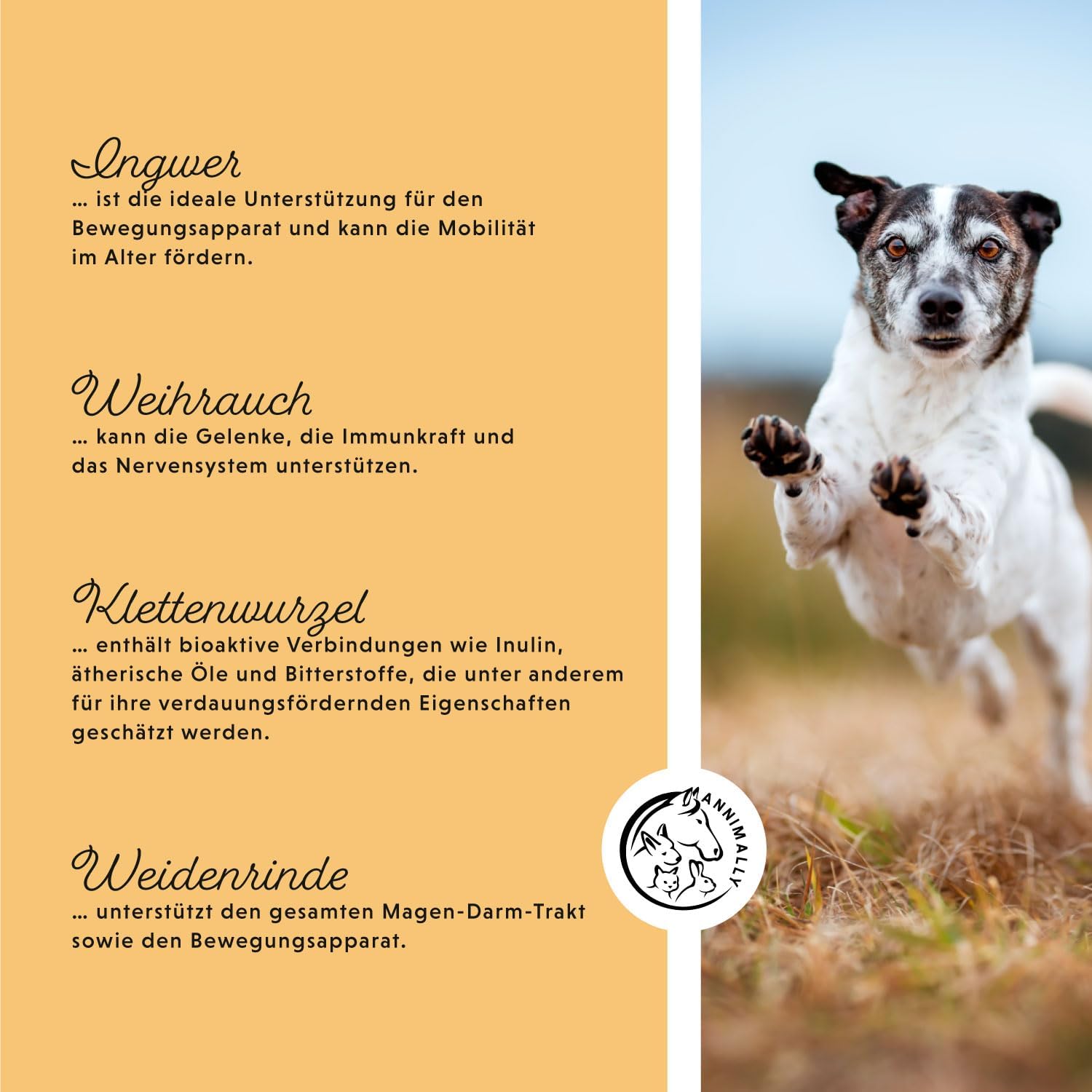 Annimally Senior Vital 120 Joint Tablets for Dogs with MSM, Ginger, Incense, Spirulina - Mobility and Wellness for Joints, Cartilage and Connective Tissue - Image 6