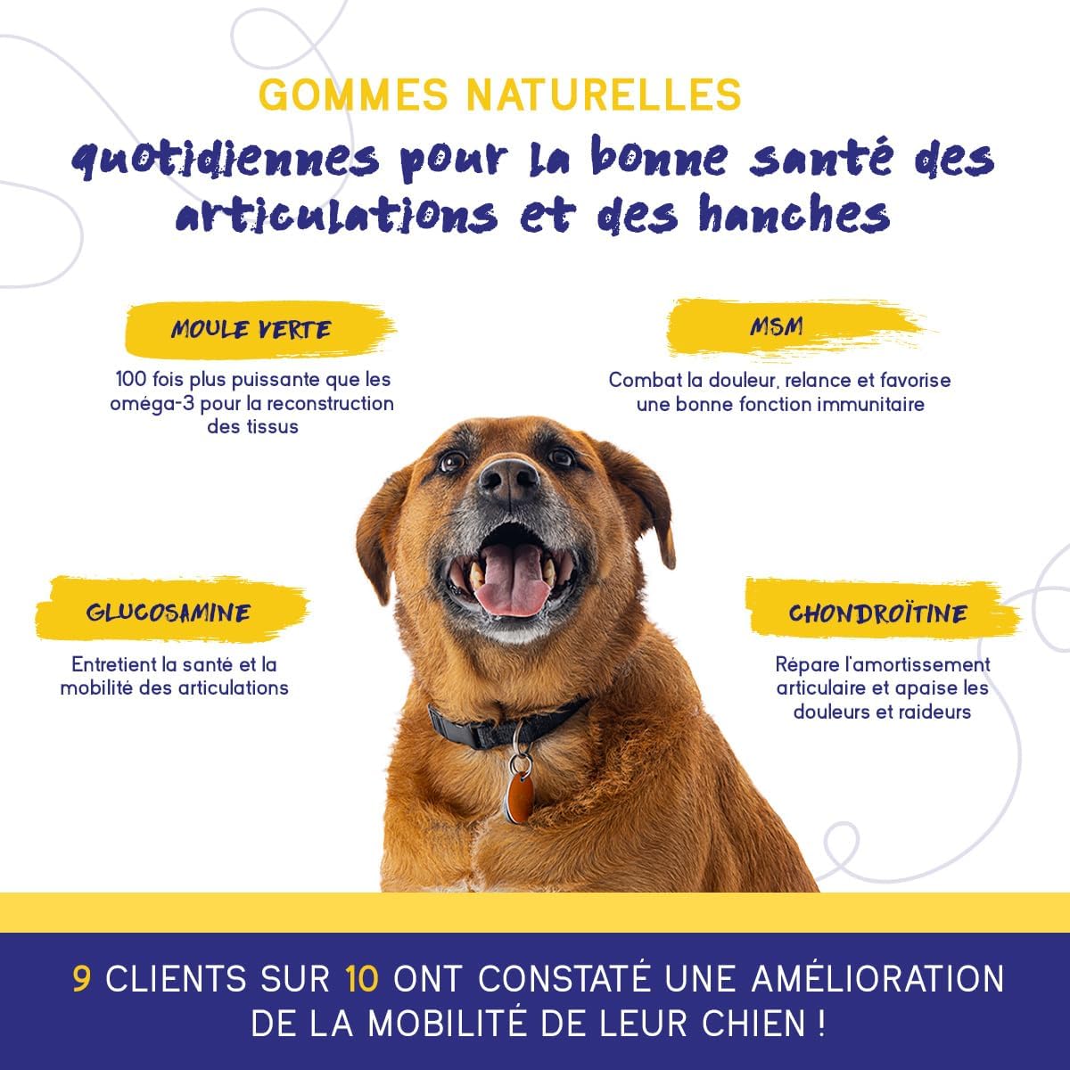PupGrade Joint Support for Dogs - Glucosamine Chondroitin with MSM & Green Mussels - Hip & Joint Pain Relief - For All Sizes, Breeds, Ages - 30 Soft Treats - Image 5