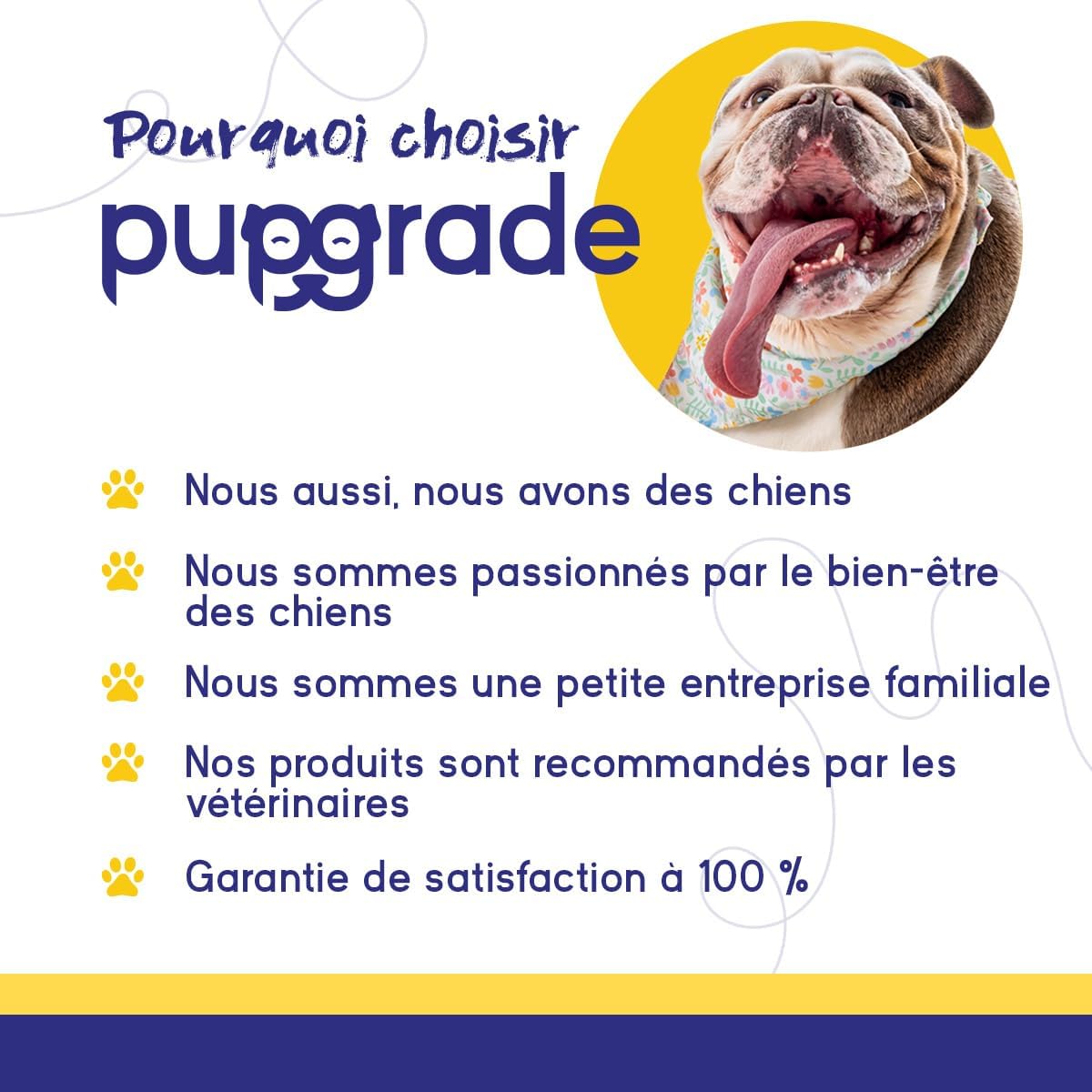 PupGrade Joint Support for Dogs - Glucosamine Chondroitin with MSM & Green Mussels - Hip & Joint Pain Relief - For All Sizes, Breeds, Ages - 30 Soft Treats - Image 7