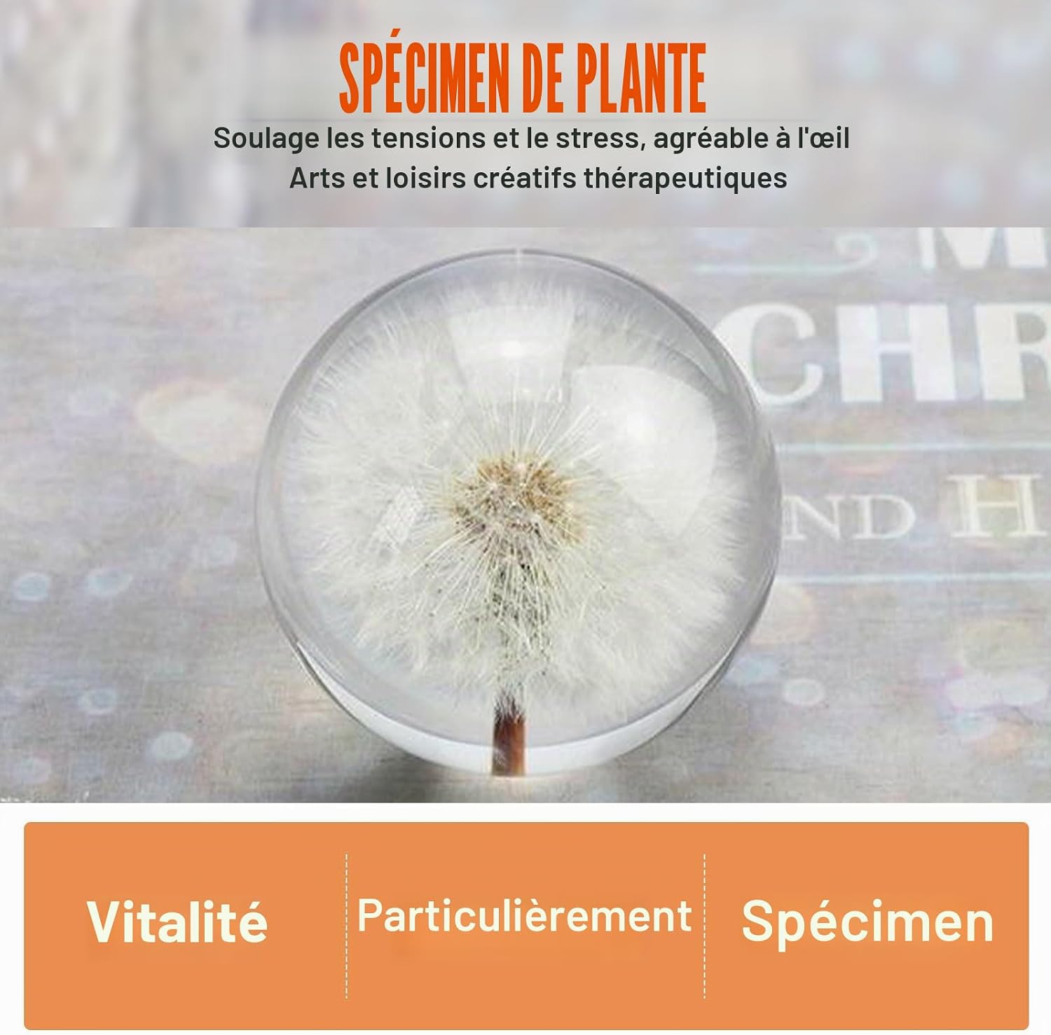 Flower Crystal Ball Night Light, 6cm Glass Ball Lamp with Wood with LED Light Base, USB Charging Flower Specimen Night Lamp with Stand (Dandelion) - Image 7