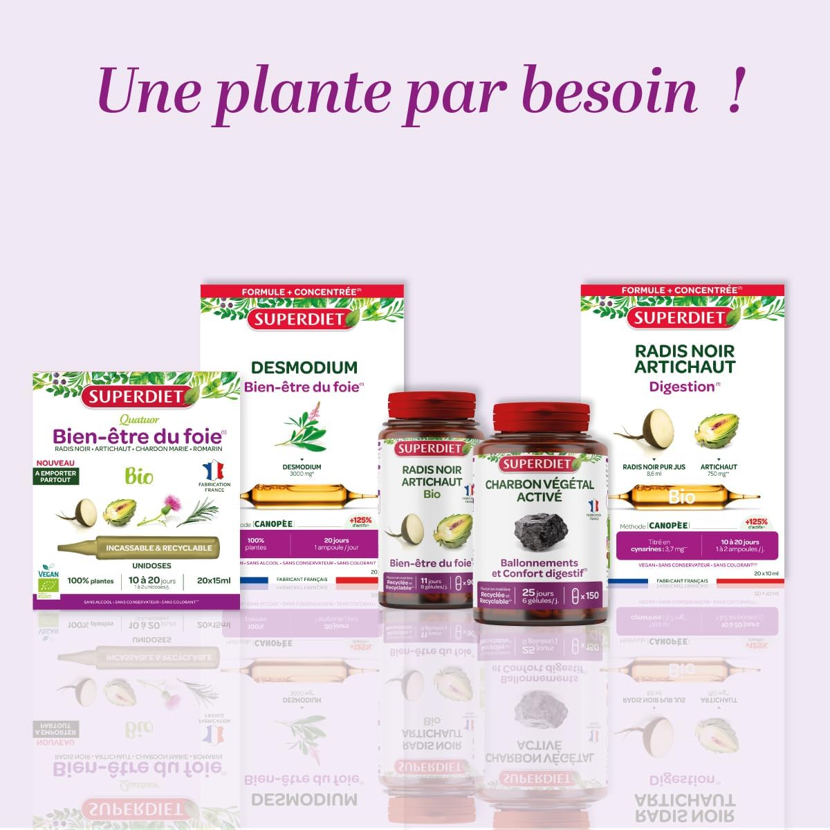 Organic Liver Detox, Digestion – Black Radish, Artichoke, Milk Thistle - Image 6