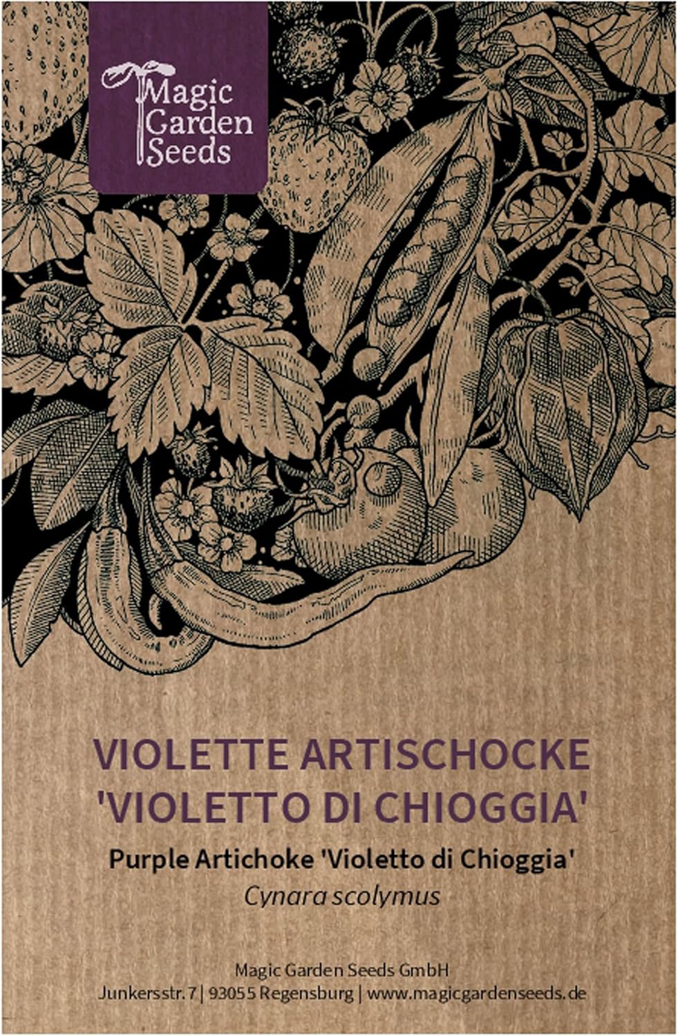 Purple artichoke 'Violetto di Chioggia' (Cynara scolymus) approx. 20 seeds - Image 2