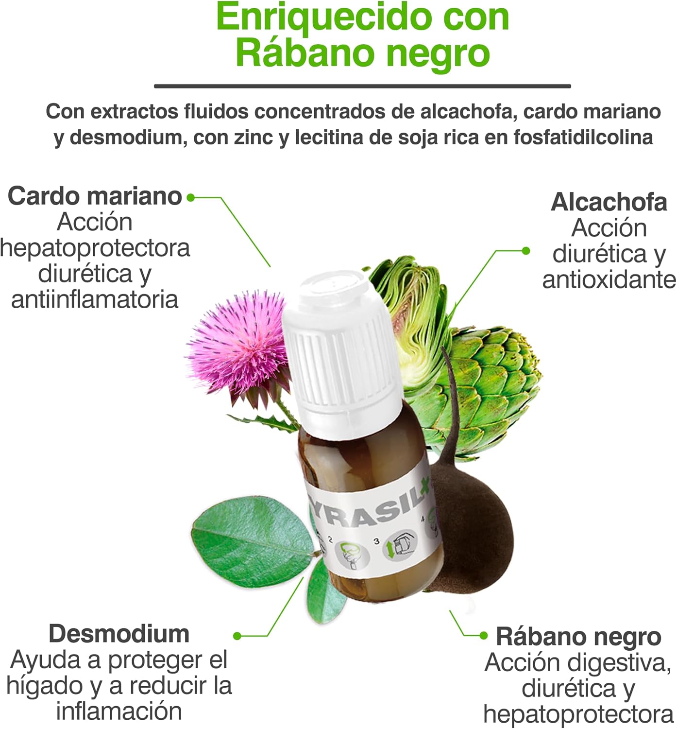 (PACK 2) Soria Natural Cyrasil Plus - The Most Powerful Detox with Black Radish, Artichoke, Milk Thistle, Zinc and Soy Lecithin - Purifies Toxins, Weight & Fluid Control, 30 - Image 6