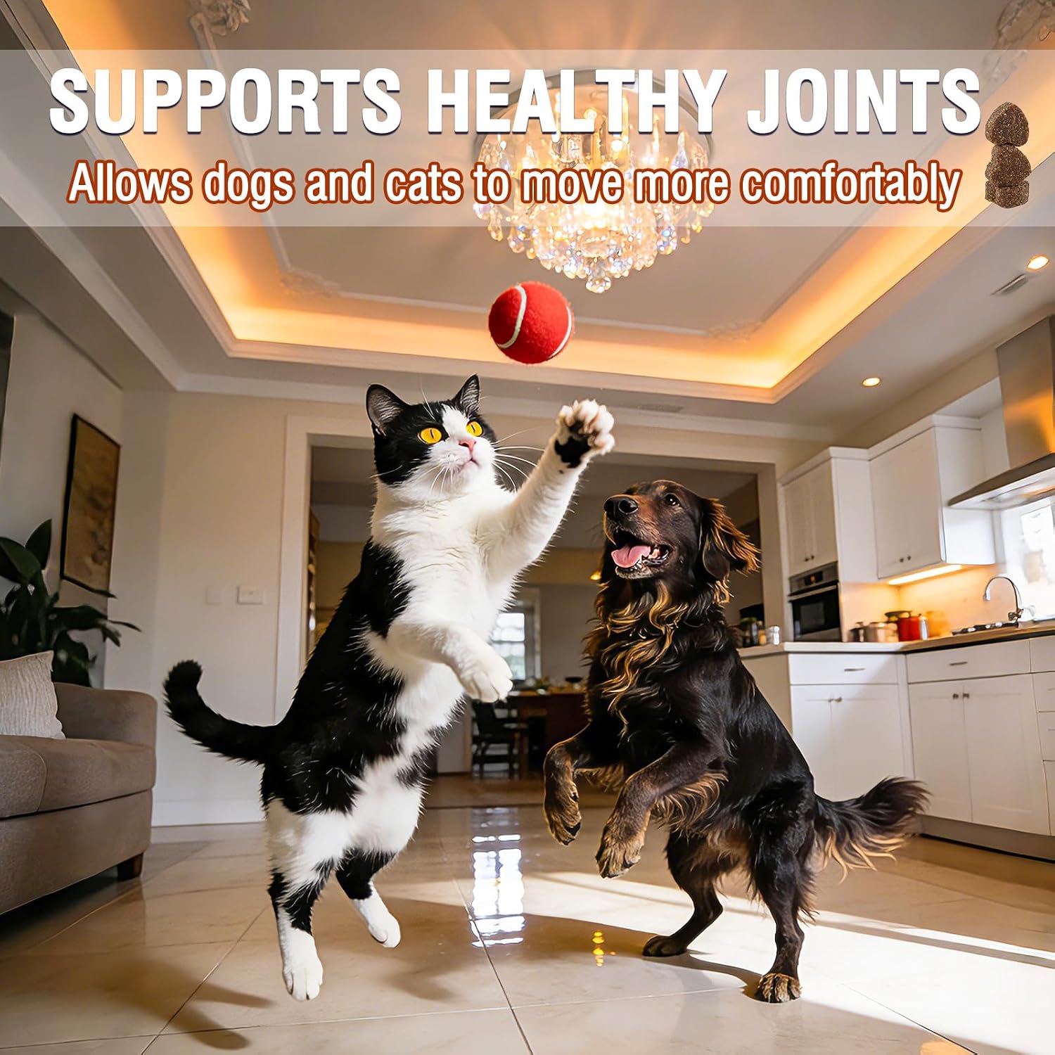 Joint & Hip Supplement for Dogs and Cats (150 Chewable Tablets) Glucosamine, Chondroitin & MSM-Supports Joint Health - All Breeds and Sizes - Image 4