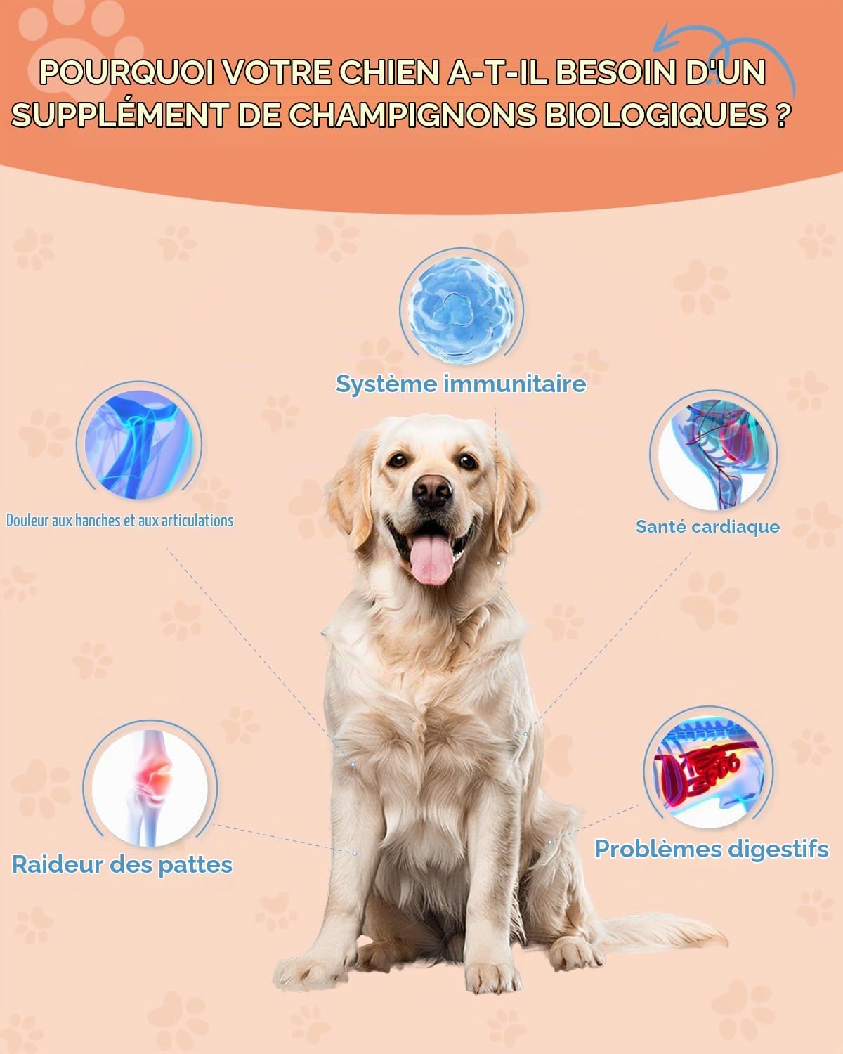 Dog Collagen, Hip & Joint Support, Skin & Coat - Image 3
