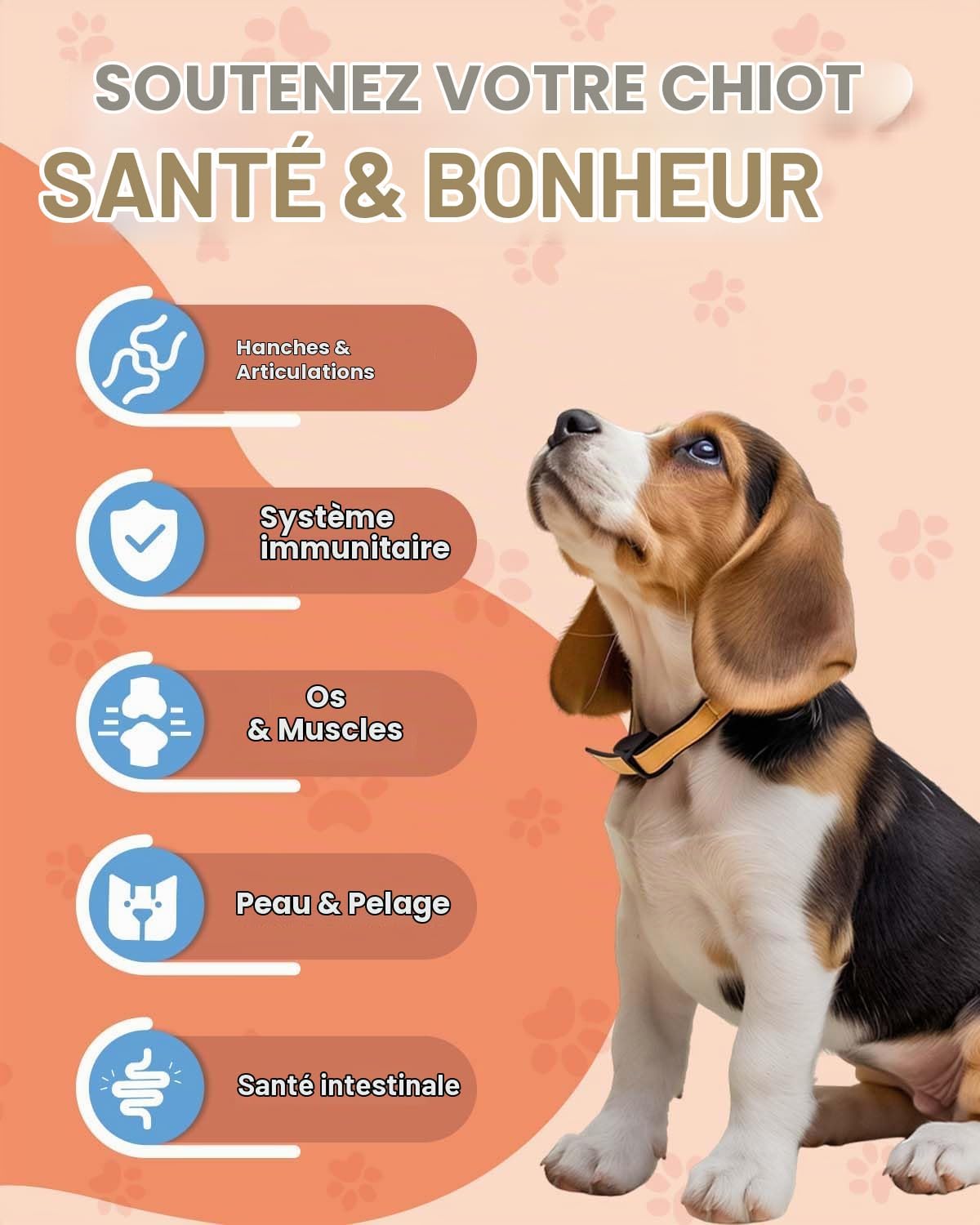 Dog Collagen, Hip & Joint Support, Skin & Coat - Image 5