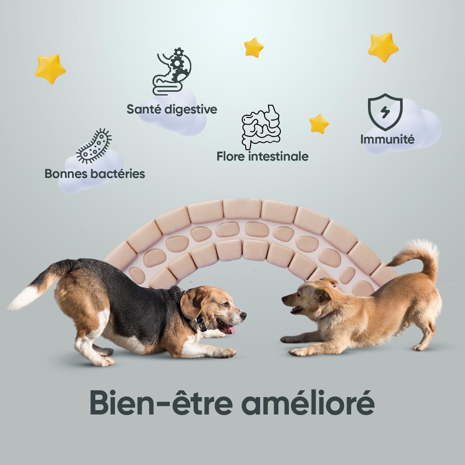 Dog Probiotic, 120 Capsules - 2.5 Billion CFUs per Serving, with Natural Ingredients, Digestive Enzymes and Dog Probiotics - Soluble Fiber, 95% Fructanes (FOS) - Image 3