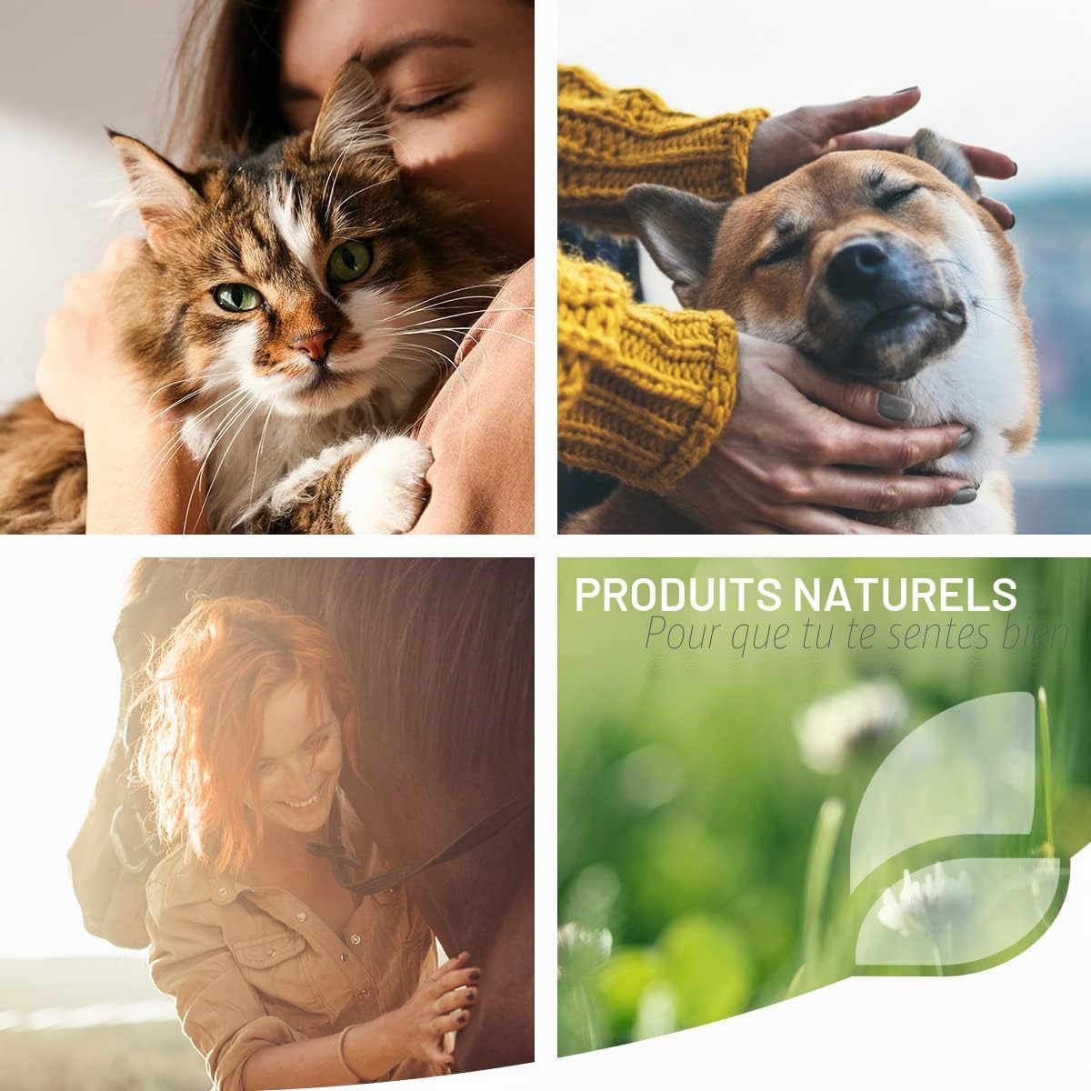 ReaVET Chlorella Tablets for Dogs 500 Pieces - High Dose Food Grade, Microalgae Support Skin and Coat - Image 5