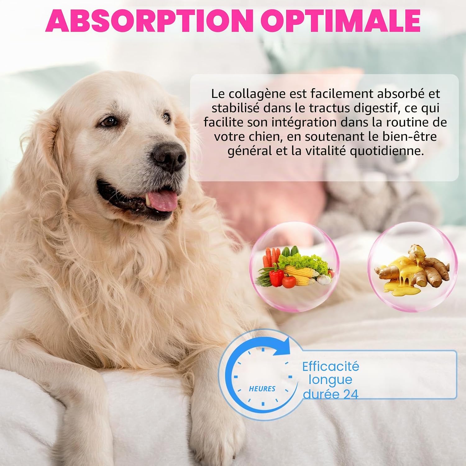 Dog Collagen Supplement, for Skin and Coat, Liquid Collagen for Dogs, Joint Supplement, Flexibility and Mobility, Hip and Joint Supplement, 2 fl oz - Image 6