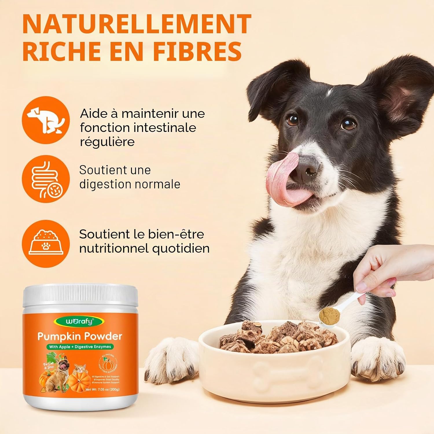 Pumpkin Powder for Dogs & Cats 200g - Pumpkin Puree Powder | Dual Action Fiber + Enzymes | Gut Health & Healthy Stool Support - Image 3