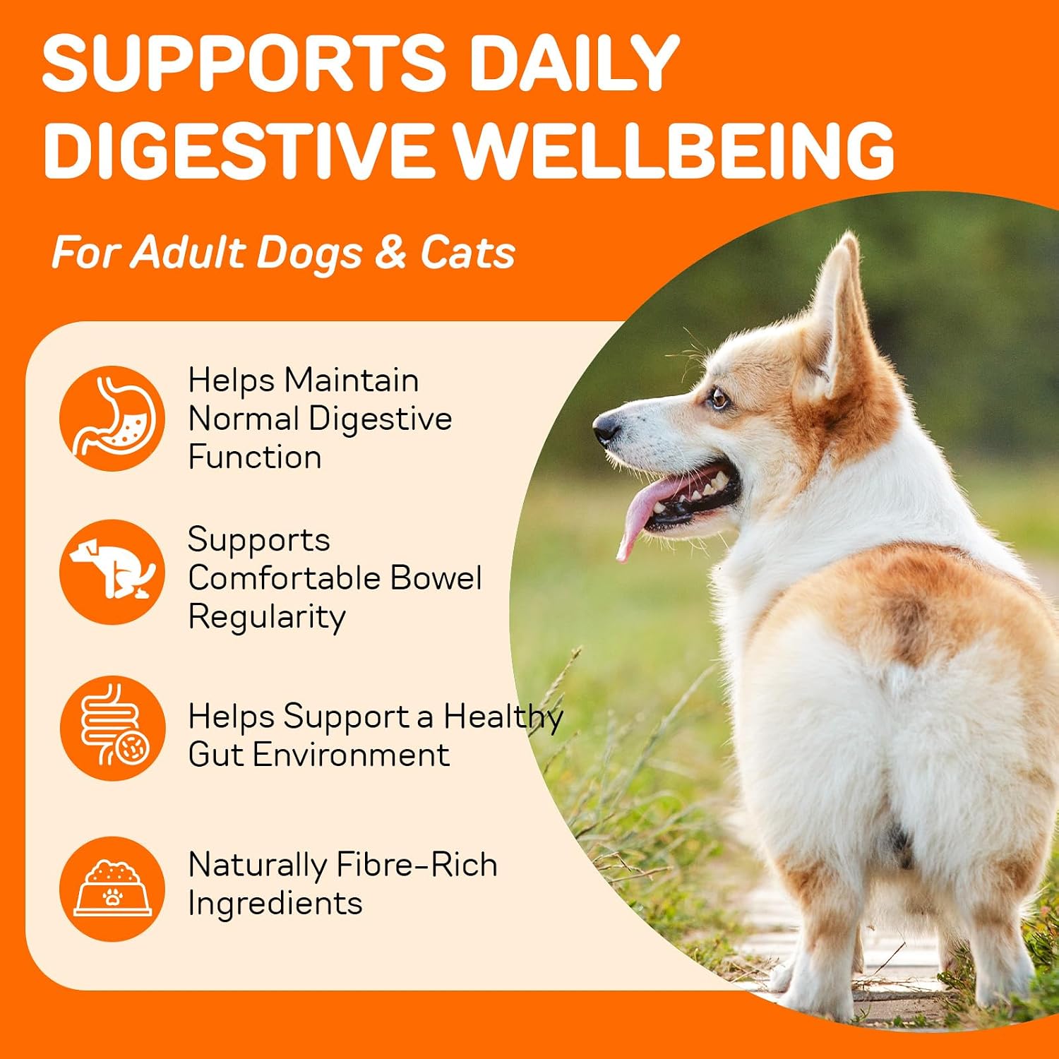 Pumpkin Powder for Dogs & Cats 200g - Pumpkin Puree Powder | Dual Action Fiber + Enzymes | Gut Health & Healthy Stool Support - Image 4
