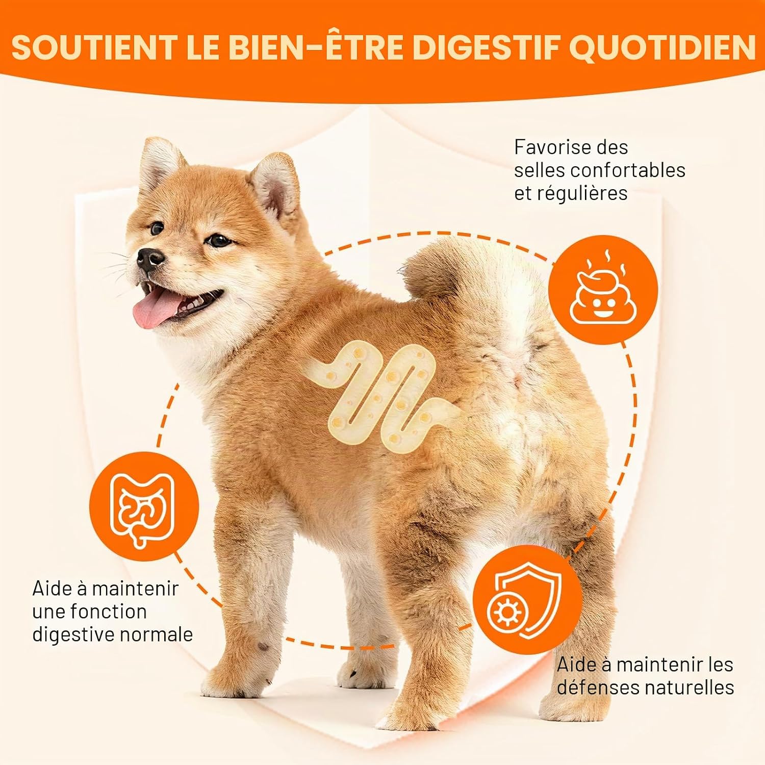 Pumpkin Powder for Dogs & Cats 200g - Pumpkin Puree Powder | Dual Action Fiber + Enzymes | Gut Health & Healthy Stool Support - Image 8