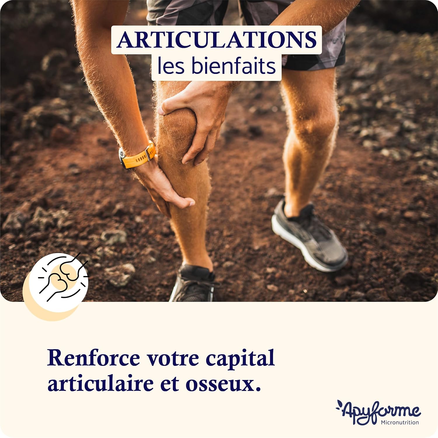 Apyforme - Joints - Pain Relief and Joint Comfort - Glucosamine Chondroitin MSM, Boswellia Serrata, Harpagophytum - 60 Gél - Made in France - Image 3