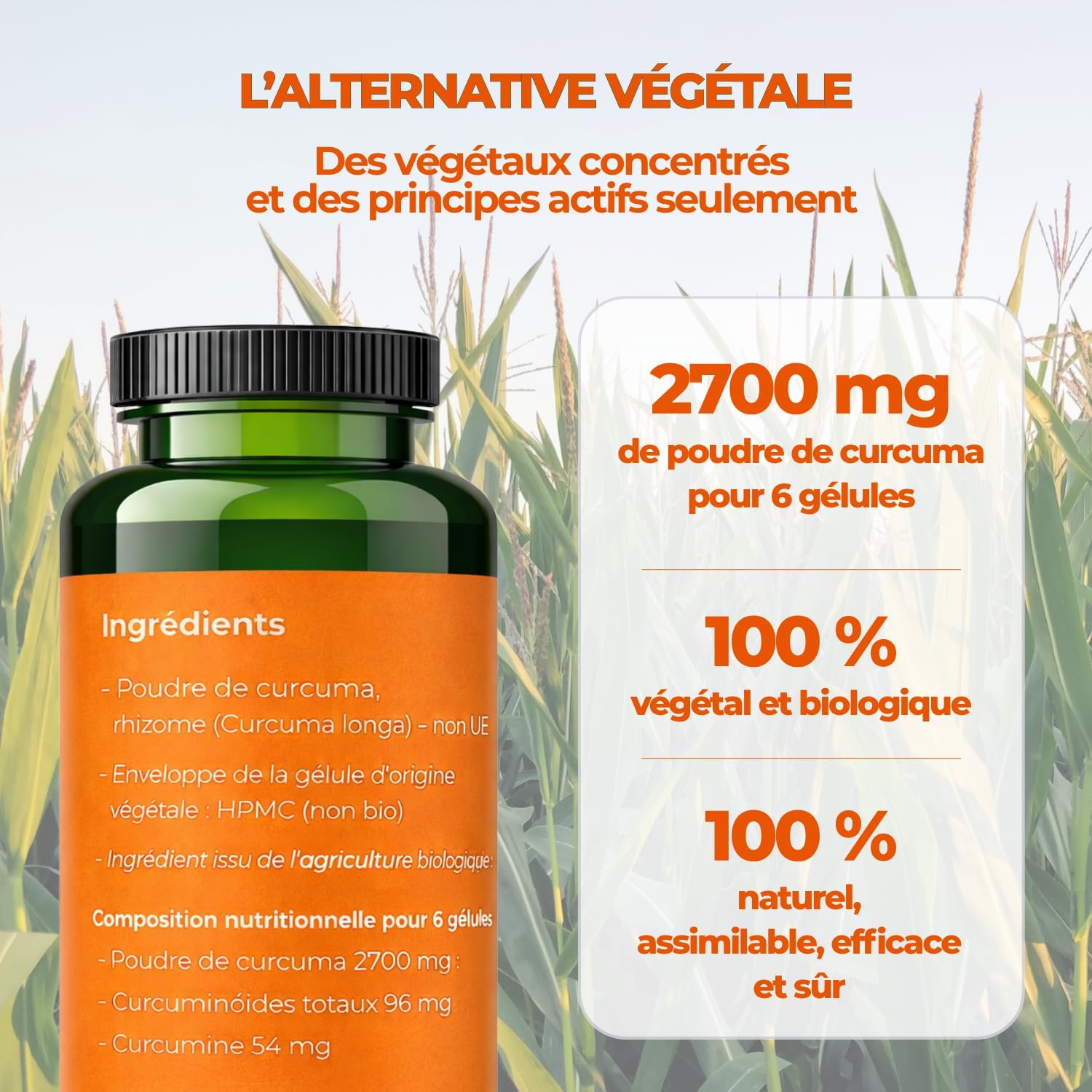 Biophénix Organic Turmeric 100% Vegetable 180 Capsules, Joints & Digestion - Image 6
