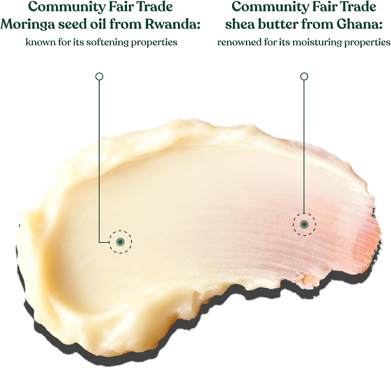 Moringa Body Butter - Image 4