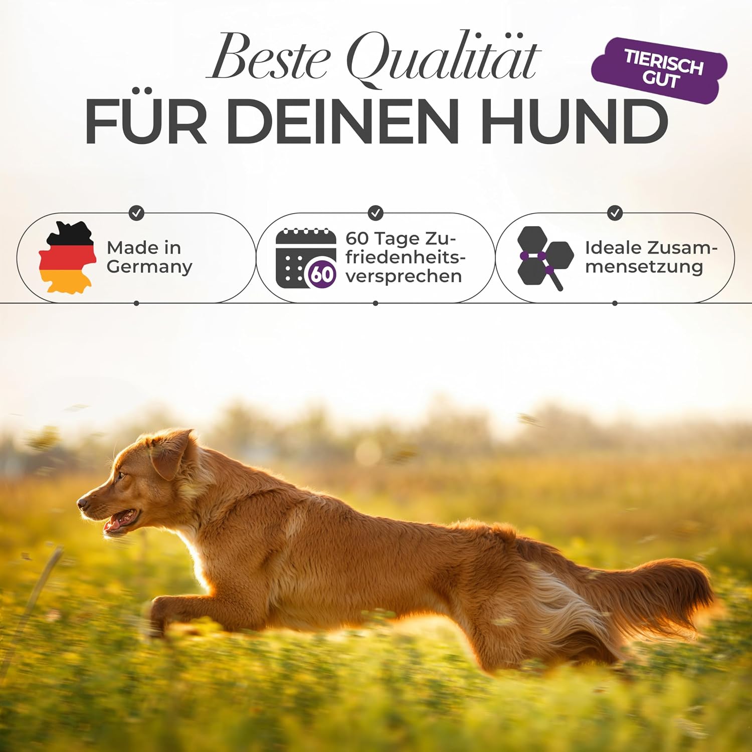 Dog Coat and Skin Complex 100 ml - Up to 200 - Image 5