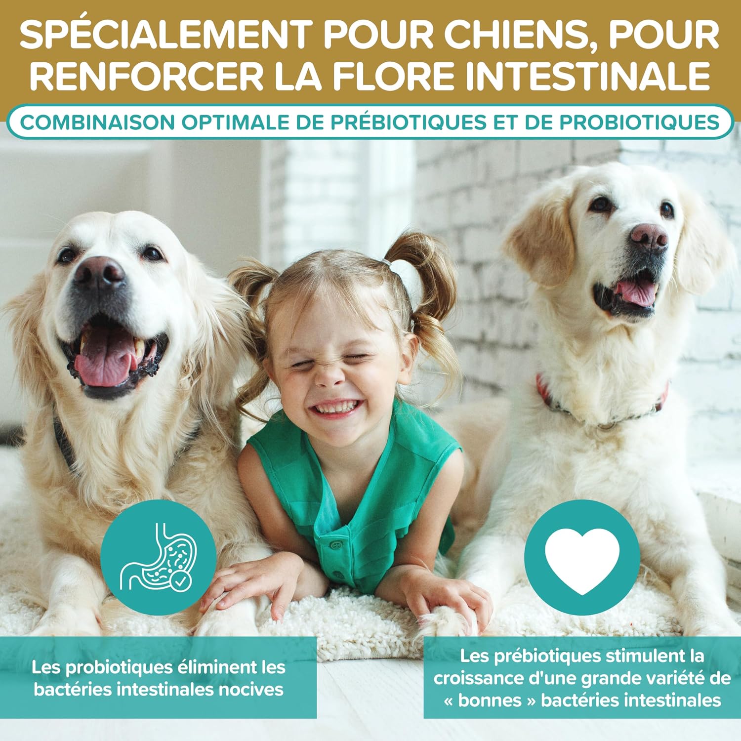 Probiotics Dogs - Natural Digestive Supplement - Dog Probiotics for Gut Health - Daily Wellness with Probiotics for Dogs BAU - 120 Tablets - Image 5