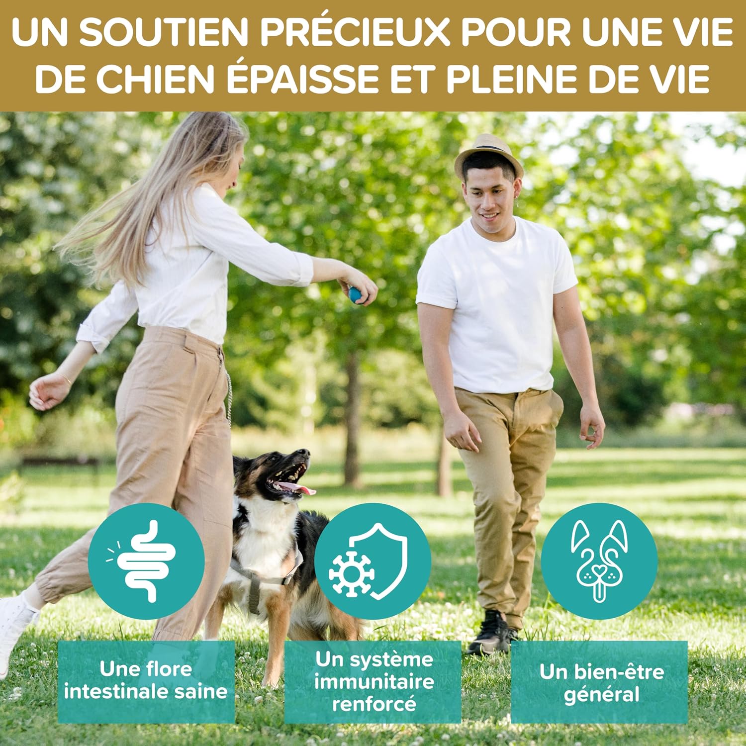 Probiotics Dogs - Natural Digestive Supplement - Dog Probiotics for Gut Health - Daily Wellness with Probiotics for Dogs BAU - 120 Tablets - Image 6