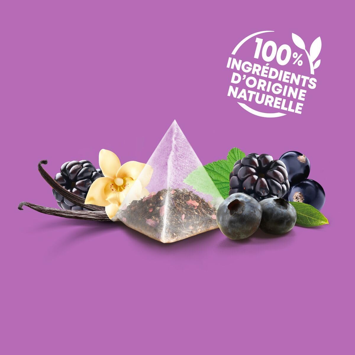Elephant Infusion Blueberry Blackcurrant Vanilla 20 Sachets Pyramid - Image 3
