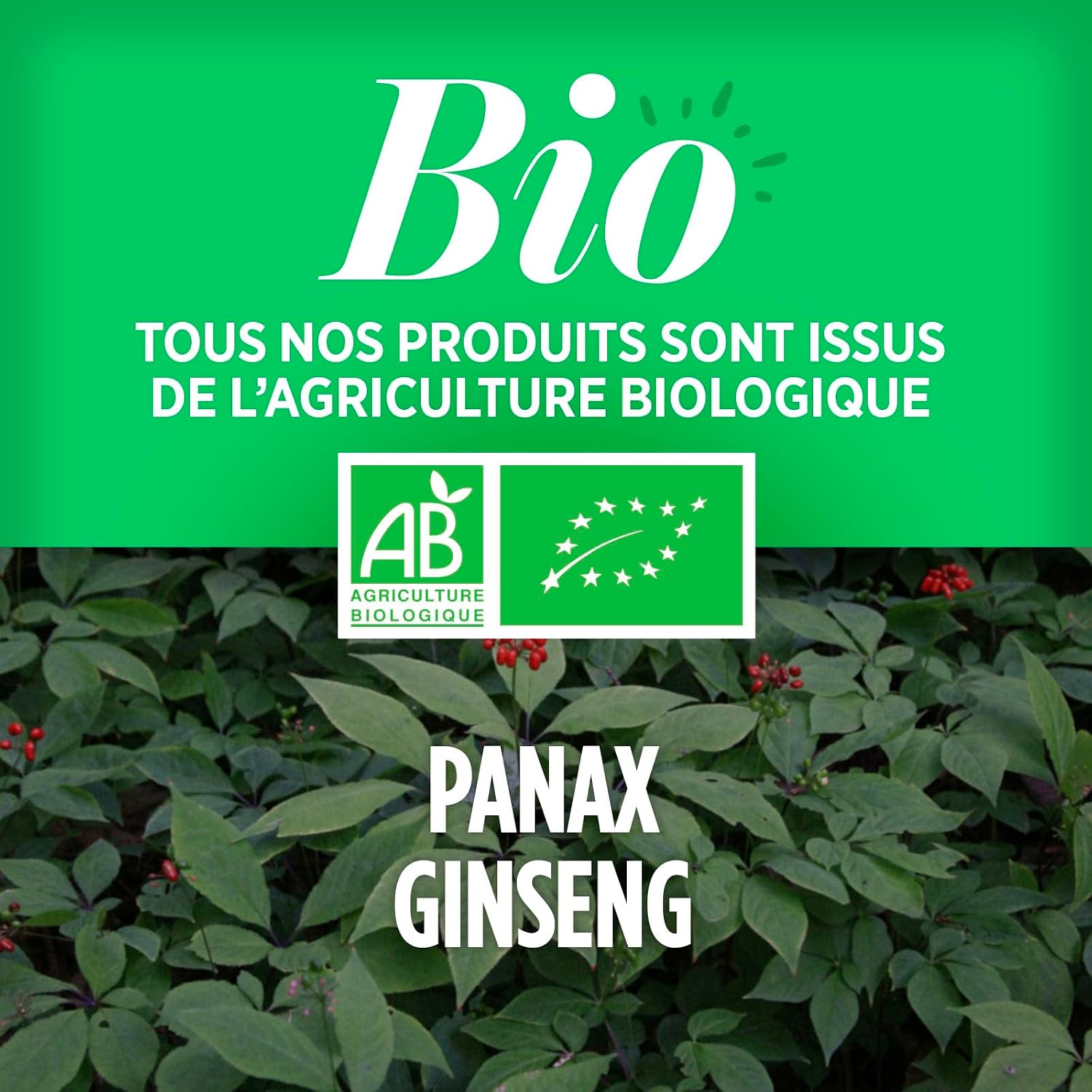 Organic Red Ginseng - panax ginseng - ENERGY, VITALITY - 400 mg - 120 Tablets - Image 5