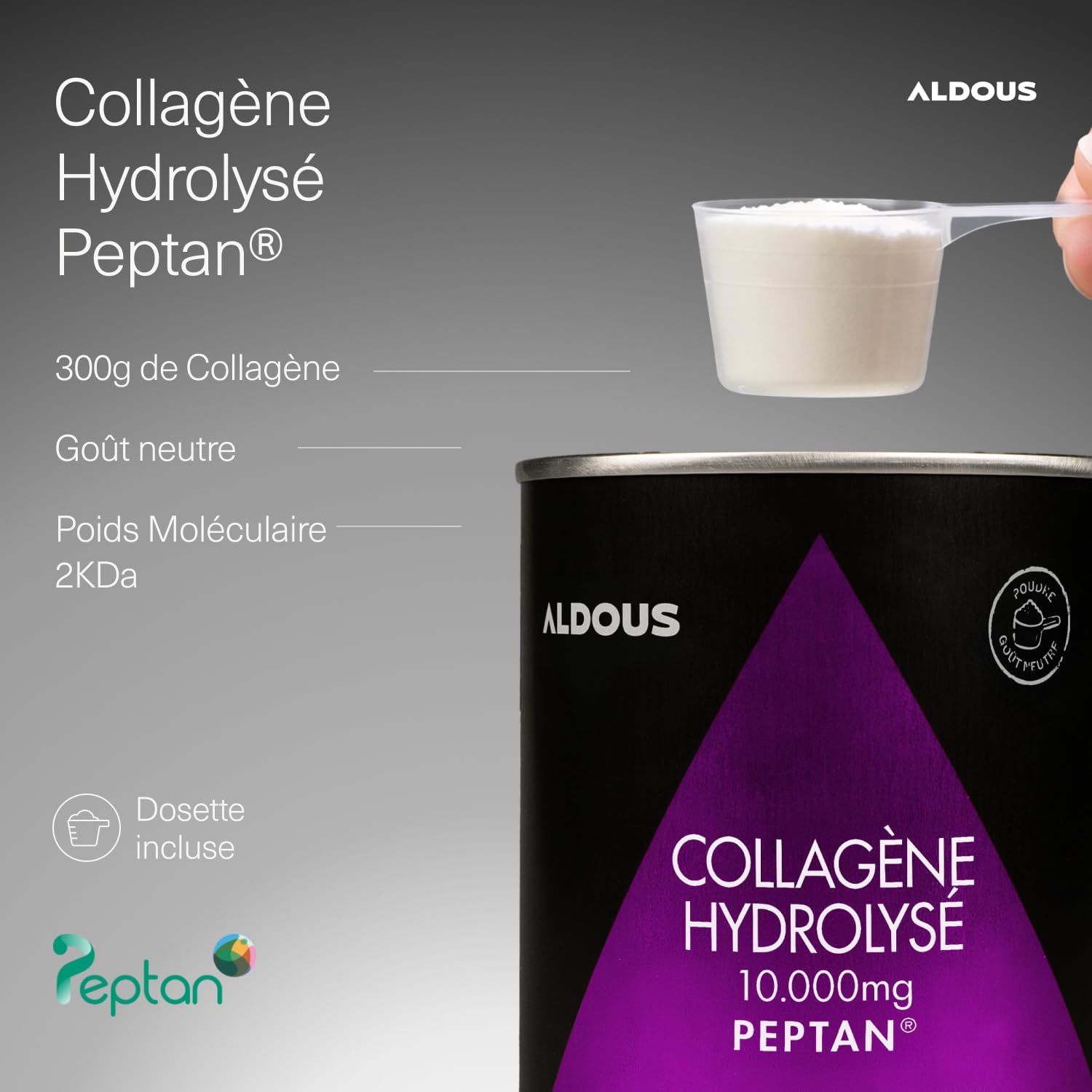 Hydrolyzed Collagen Powder 2KDa- Peptides Protein Collagen - Beauty PEPTAN - Image 3